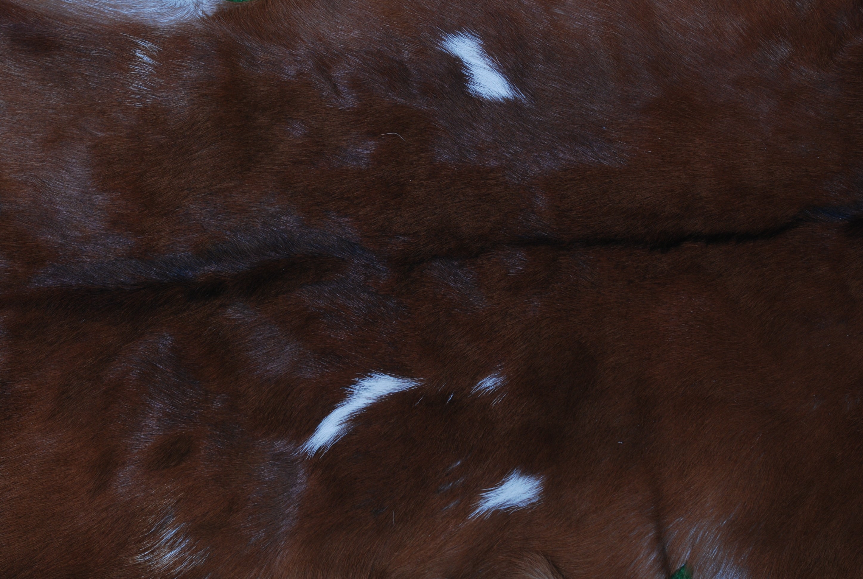 Decorative Dark Brown Goat Skin Rug - Luxurious Touch for Living Spaces