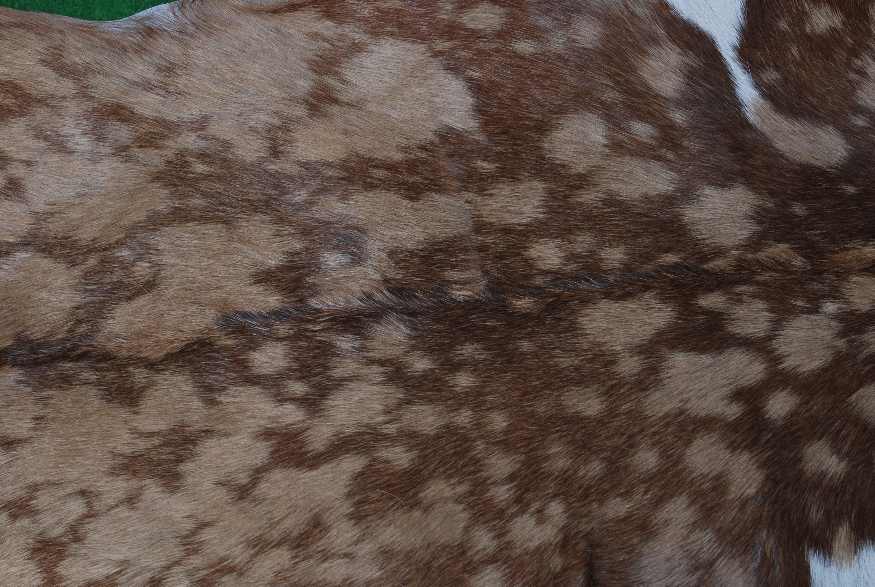 Goat Skin Rug: Tri-Color genuine Goat hide rug