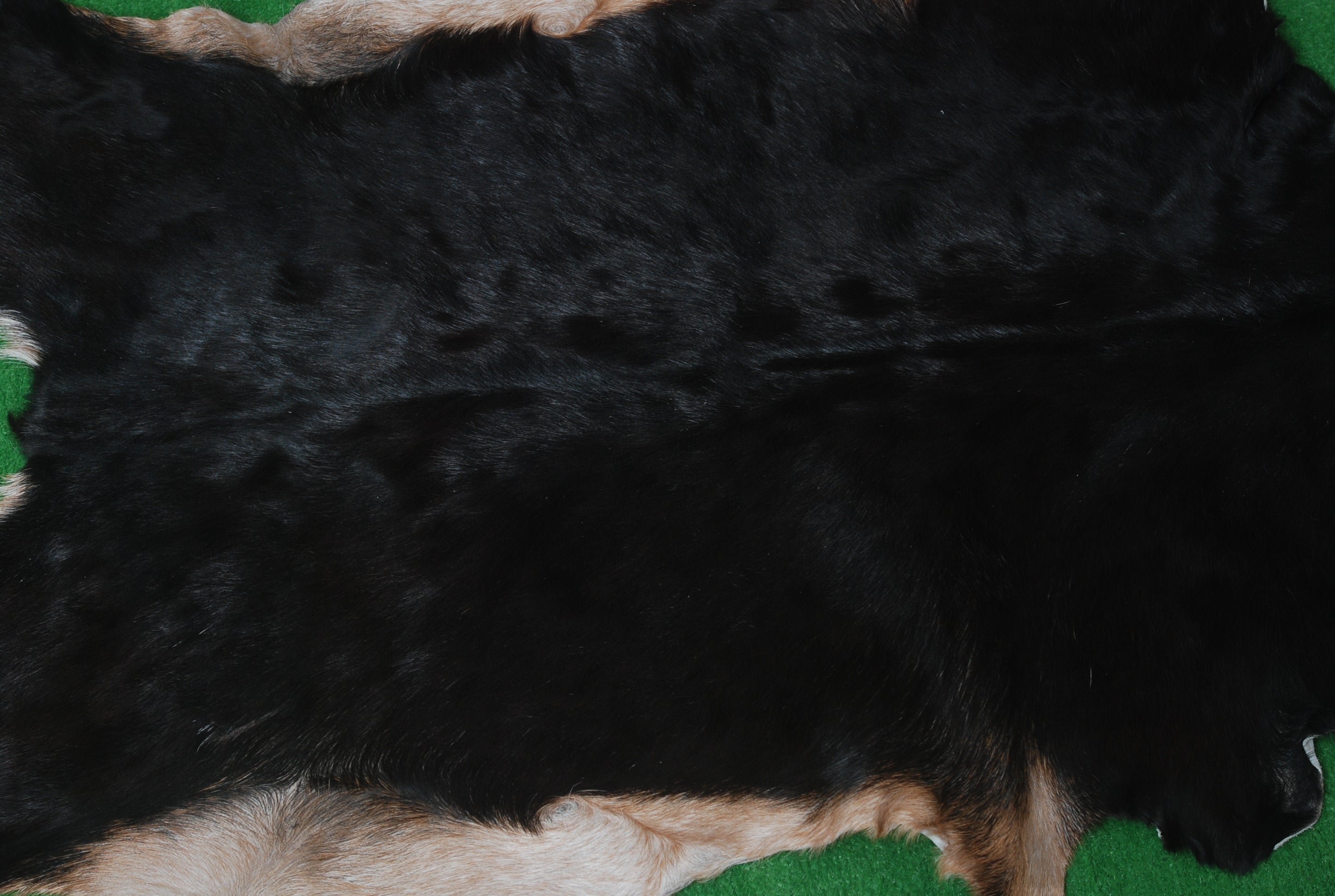 Black and Brown Handmade Goat Skin Rug – Rustic Charm for Your Home