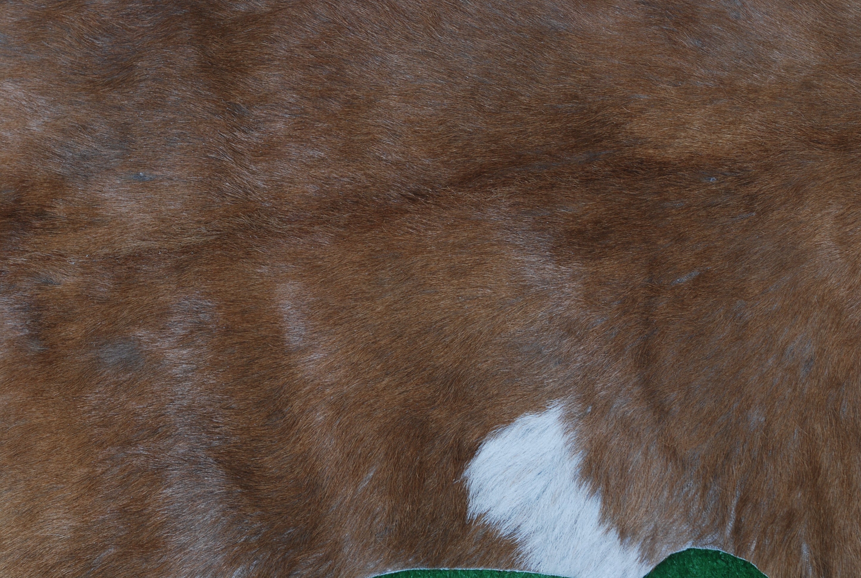 Elegant Brown and White Goat Hide Rug - Perfect Accent for Living Room or Bedroom