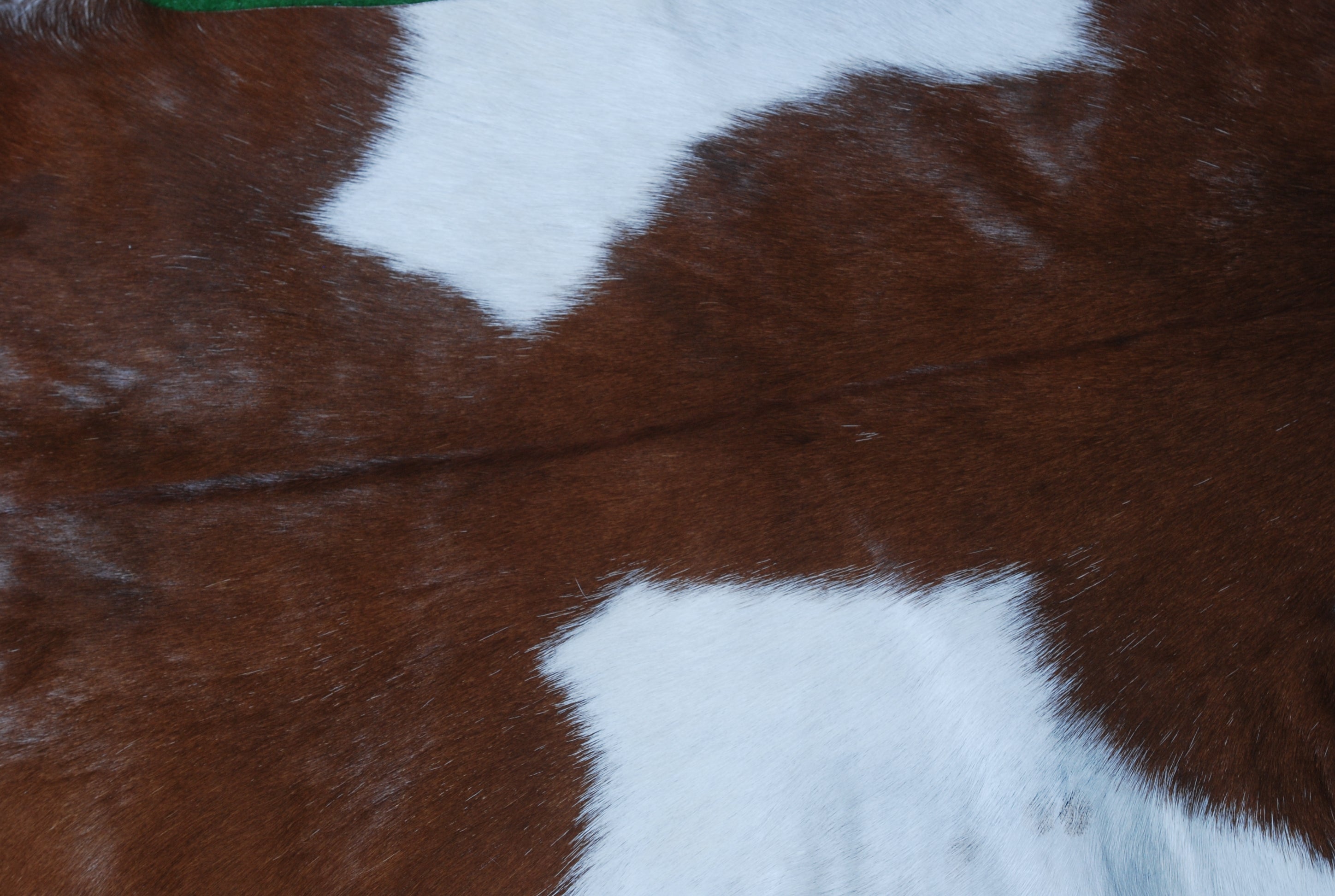 Handcrafted Dark Brown Goat Skin Rug - Genuine Leather for Luxurious Décor - Celestial Leather Limited