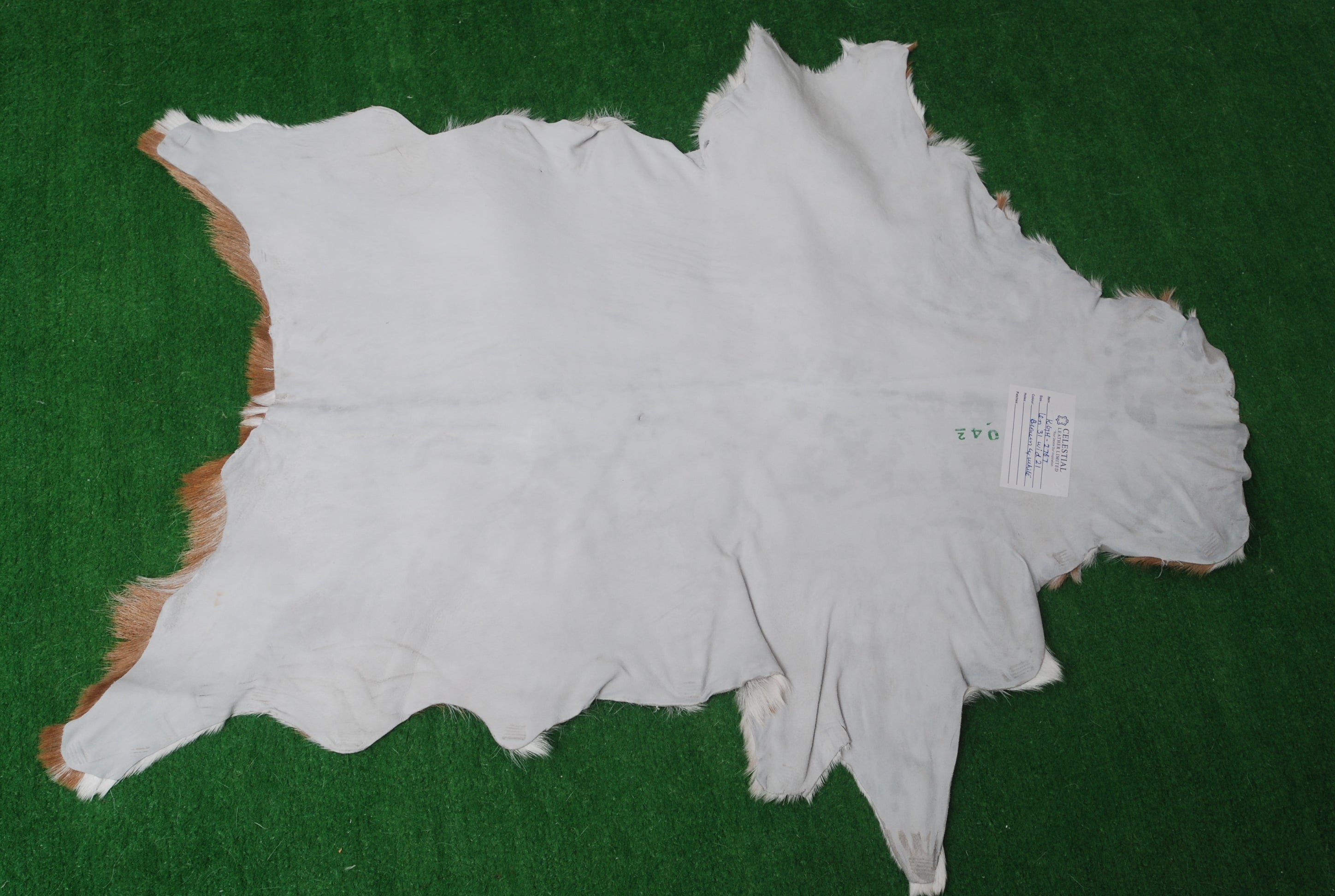 Luxurious Brown & White Genuine Goat Skin Rug for Home Décor - Celestial Leather Limited