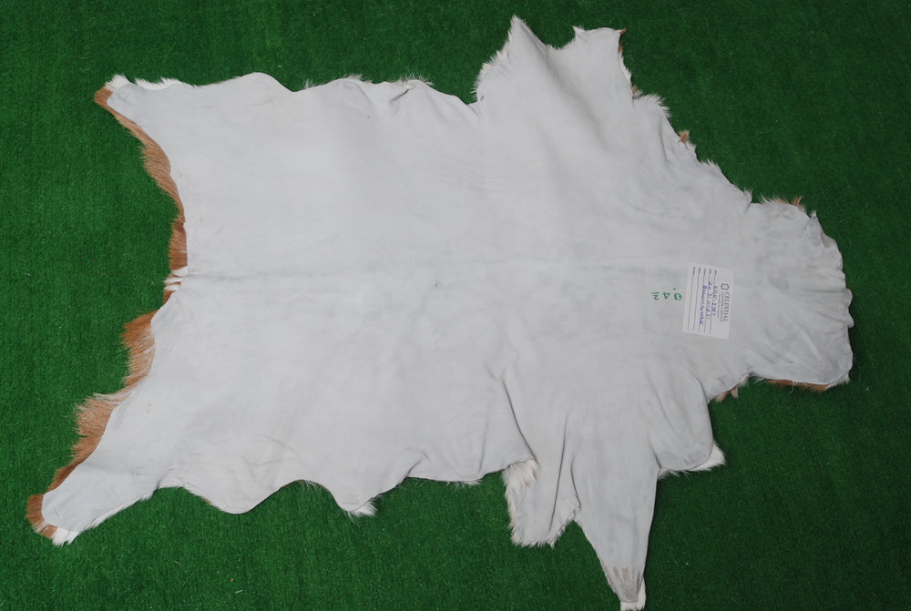 Luxurious Brown & White Genuine Goat Skin Rug for Home Décor - Celestial Leather Limited