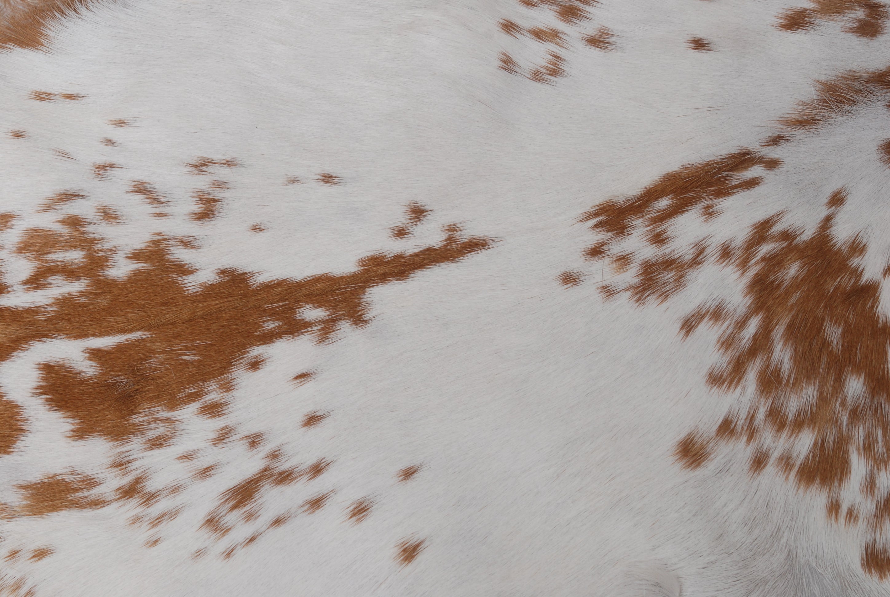 Luxurious Brown & White Genuine Goat Skin Rug for Home Décor - Celestial Leather Limited