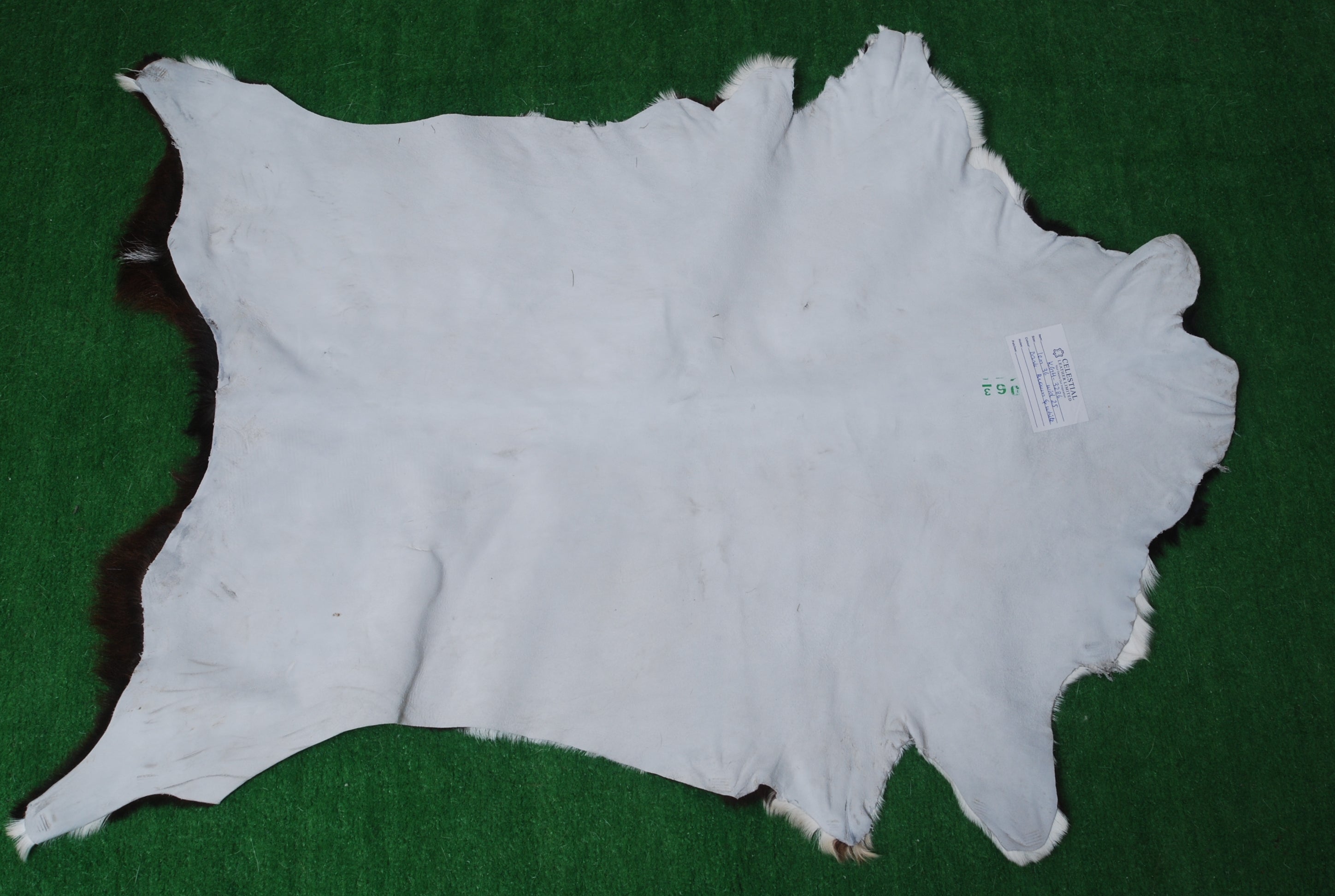 Rustic Black and White Goat Hide Rug - Perfect for Floor or Wall Décor - Celestial Leather Limited