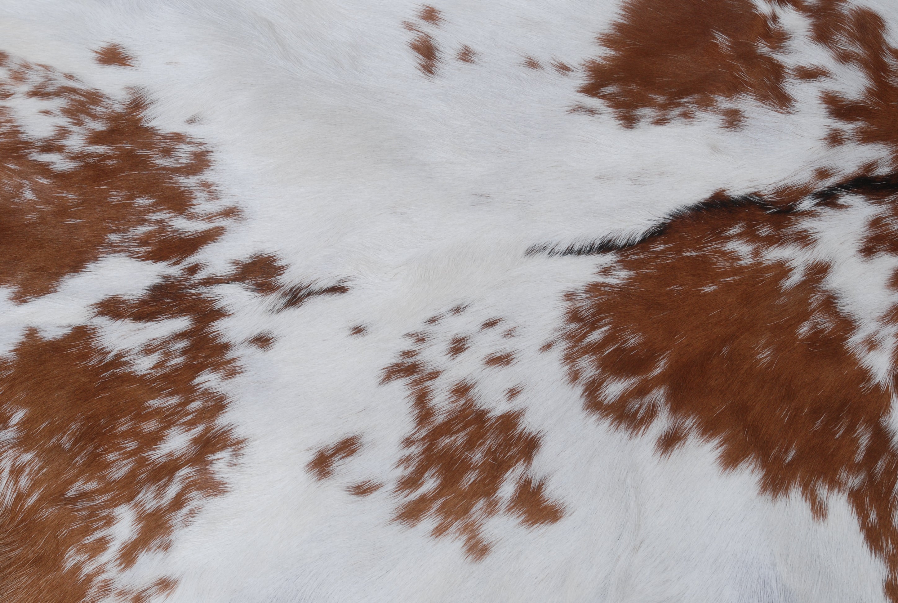 Decorative Dark Brown Goat Skin Rug - Luxurious Touch for Living Spaces