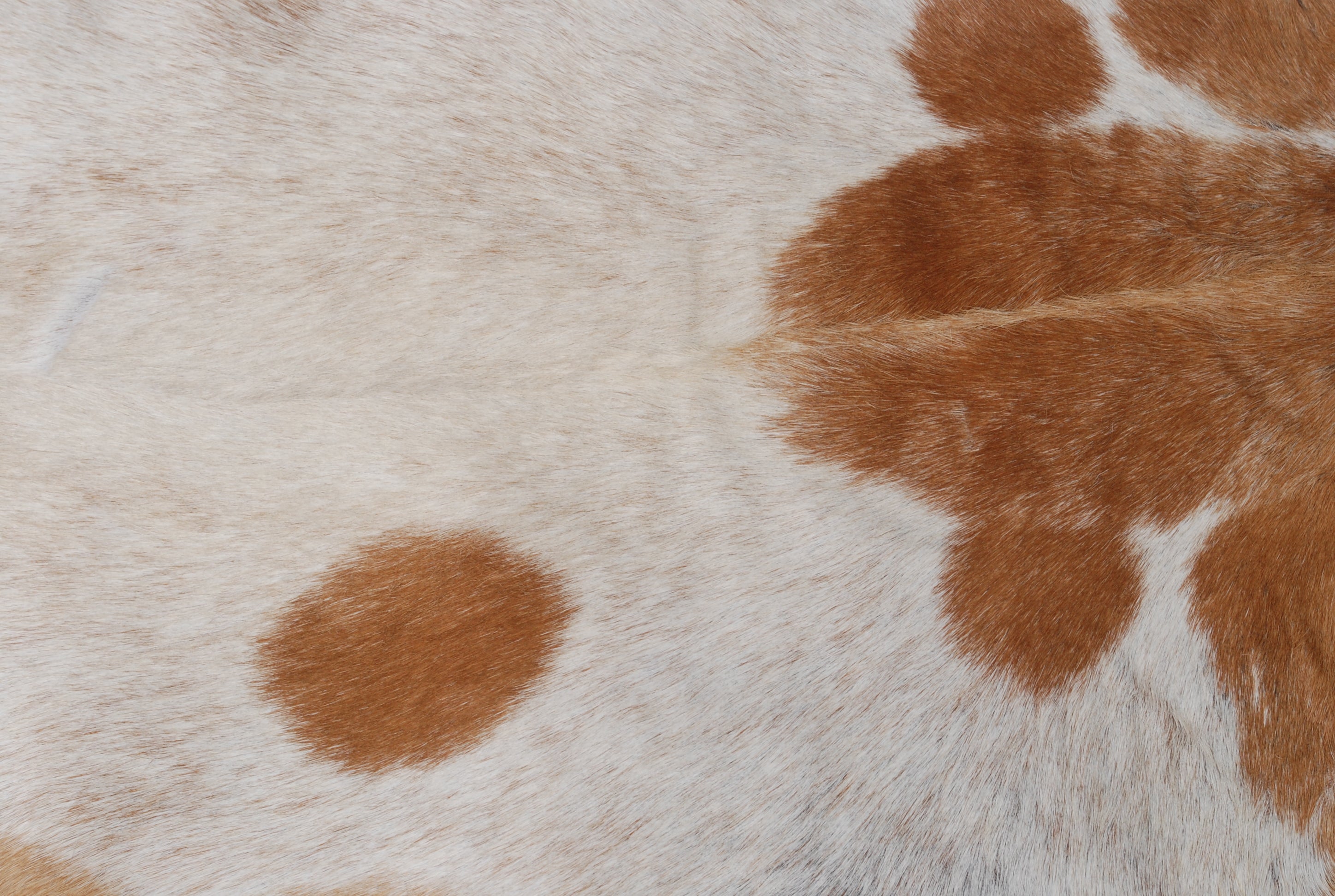 Elegant Brown and White Goat Hide Rug - Perfect Accent for Living Room or Bedroom