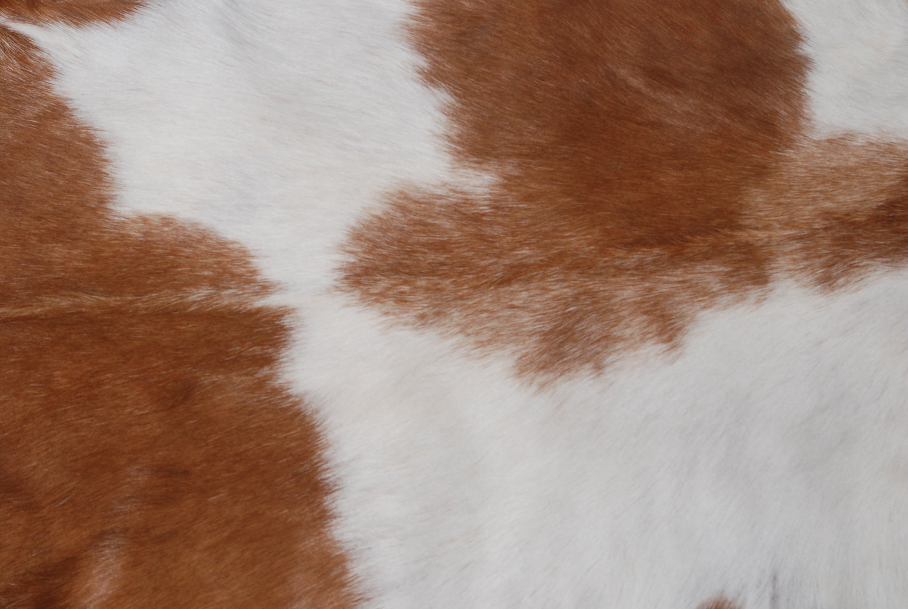 Luxury Brown and White Natural Goat Skin Rug with Modern Graphic Pattern for Stylish Wall Décor - Hypoallergenic and Non-Shedding, - Celestial Leather Limited