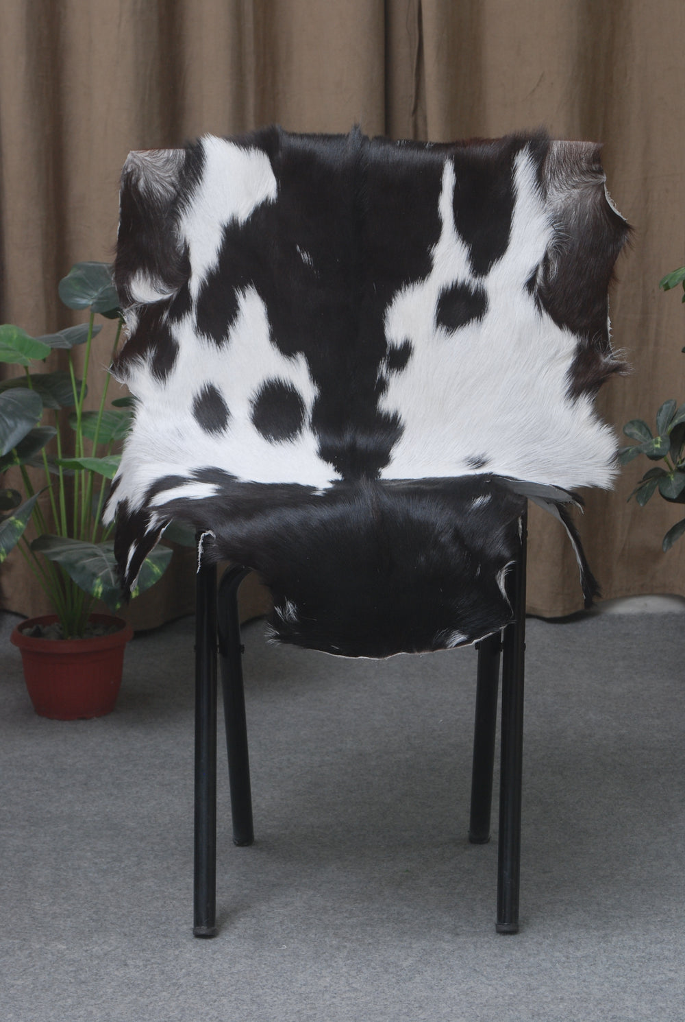 Natural Black and White Goat Hide Rug - Luxurious and Stylish Floor Accent - Celestial Leather Limited