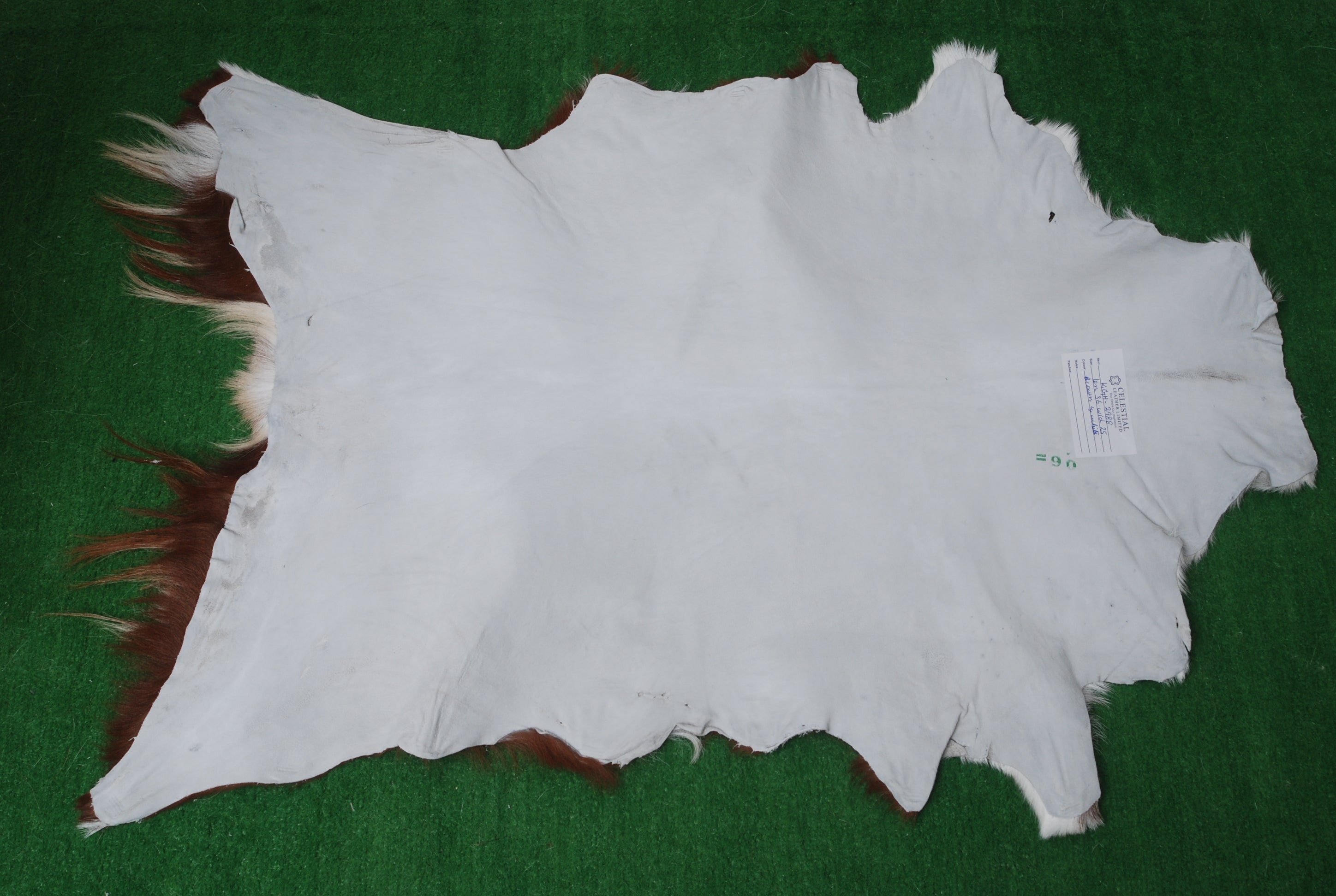 Goat Skin Rug, Goat skin rug ikea, Long Haired Goat Skin Rug, Goat skin rug amazon, Goat skin rug for sale, Best goat skin rug, Goat skin leather, Goat skin rug ikea review, Best goat rug, Fur Rug, Large goat rug ikea, Goat rug ikea price, White goat skin rug ikea, Goat rug ikea, Goat rug amazon, Long Haired Goat Skin Rug, Goat rug for sale