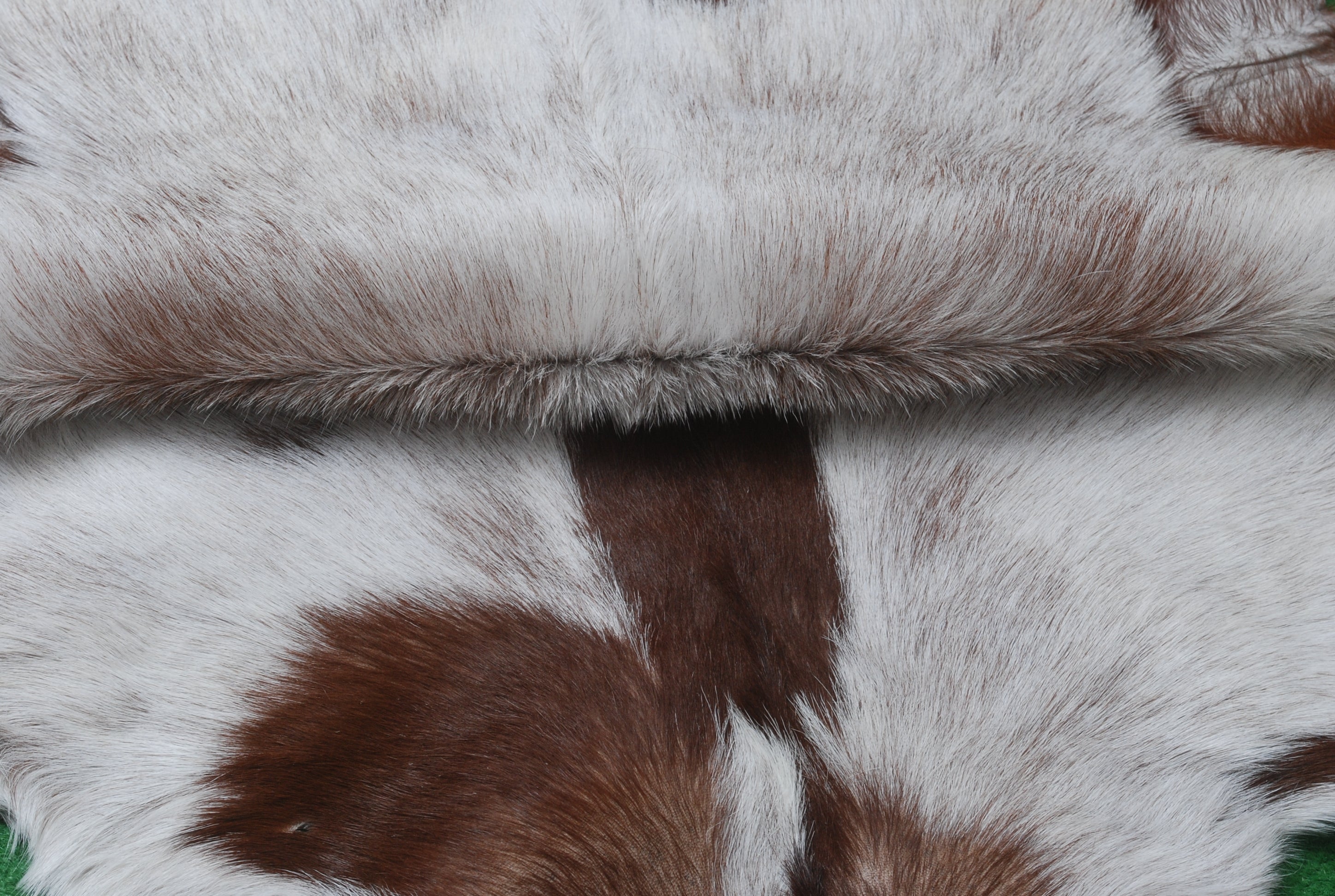 Goat Skin Rug, Versatile Style, Ideal for Modern Interiors, Limited Stock - Celestial Leather Limited