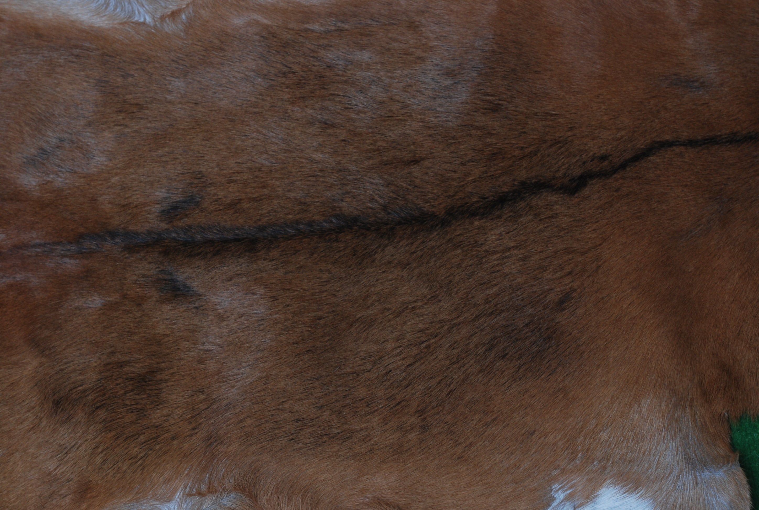 Premium Brown & White Goat Hide Rug - Luxury Hair-on Goatskin Rug, Sustainable - Eco-Friendly, Unique Patterns, Non-Slip Suede Back - Celestial Leather Limited
