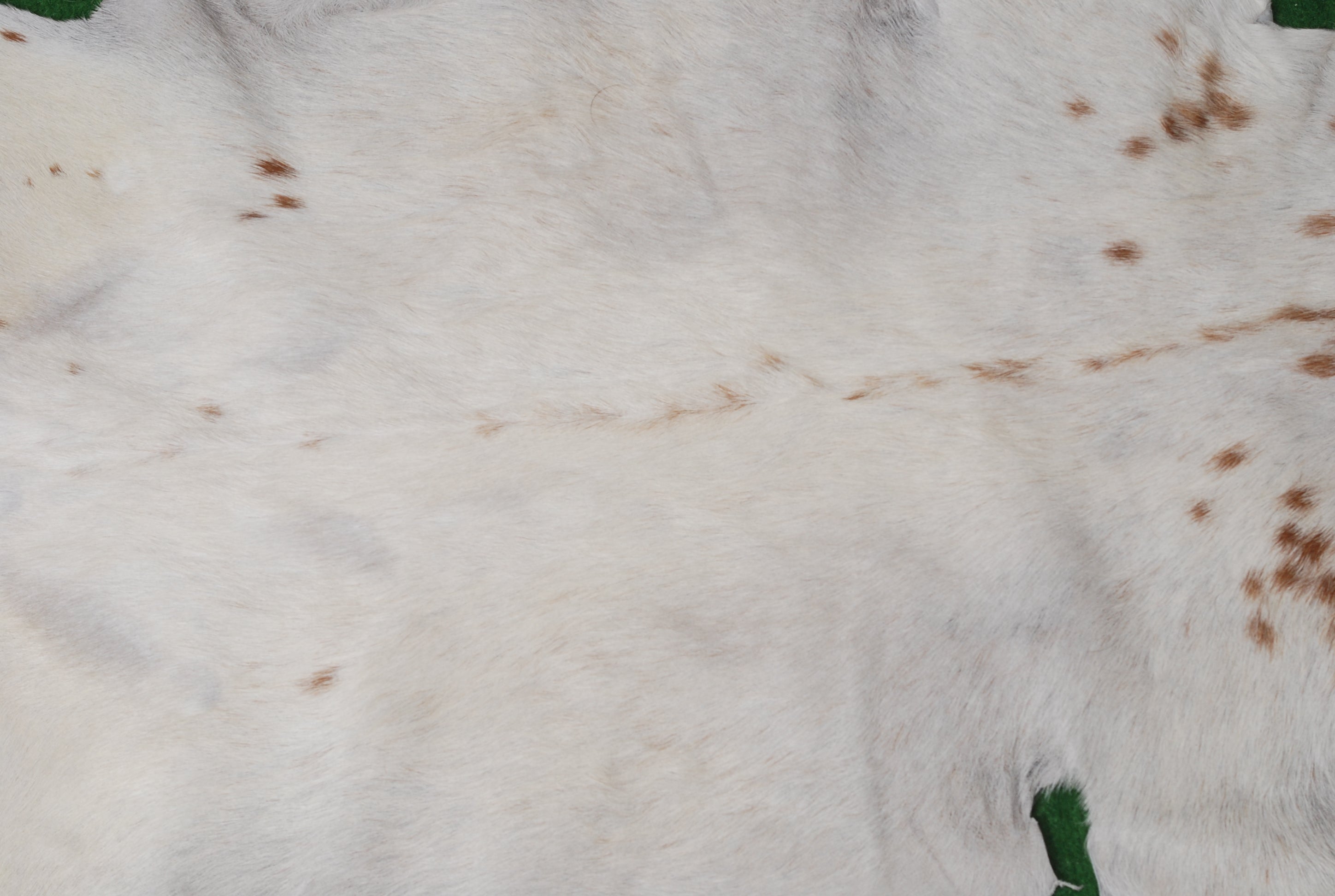 Authentic Hair-On Goat Skin Rug - Brown and White Pattern for Stylish Interiors