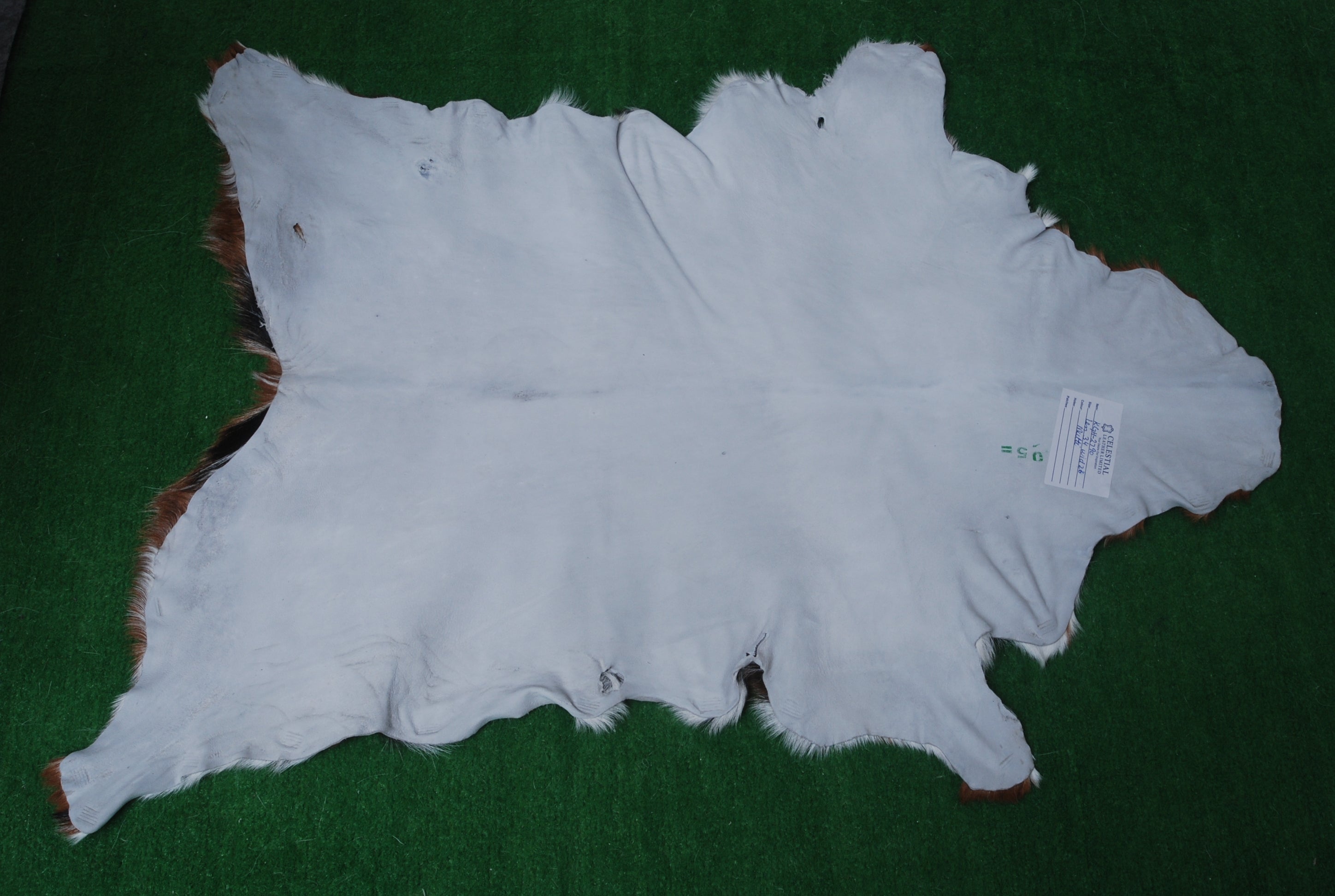 Goat Skin Rug: Tri-Color genuine Goat hide rug