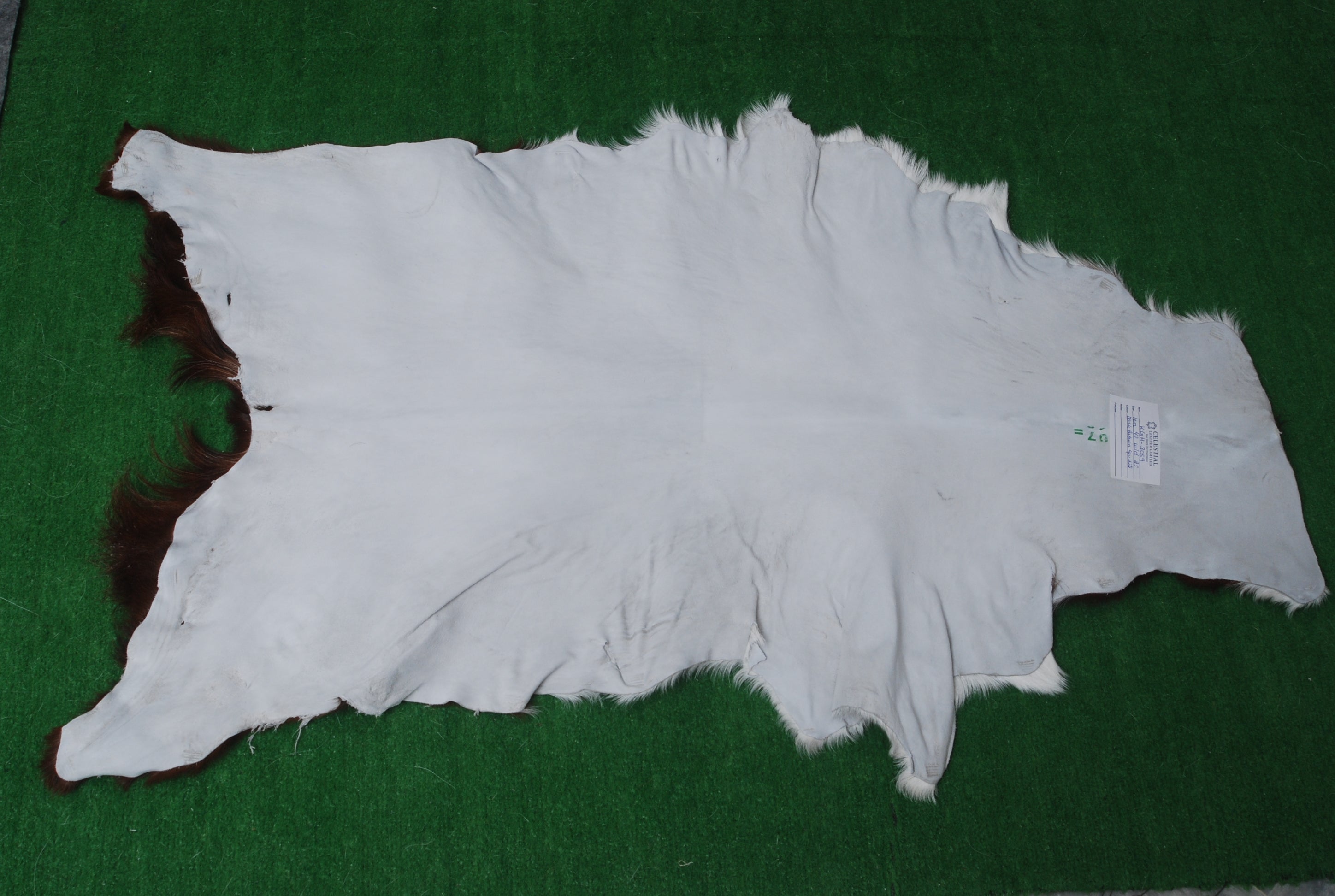 Luxurious Dark Brown Goat Skin Rug - Genuine Hair-On Leather for Elegant Décor