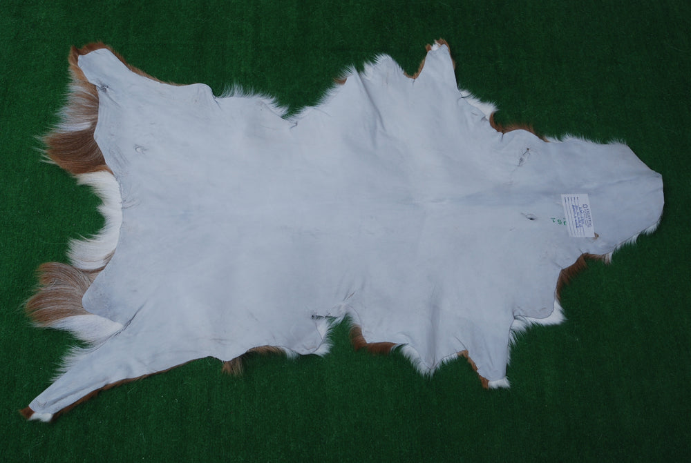 Luxurious Handpicked Brown & White Goat Skin Rug - Hypoallergenic - Non-Shedding - Sustainable - Eco-Friendly - Premium Hair-On Goatskin Rug - Celestial Leather Limited