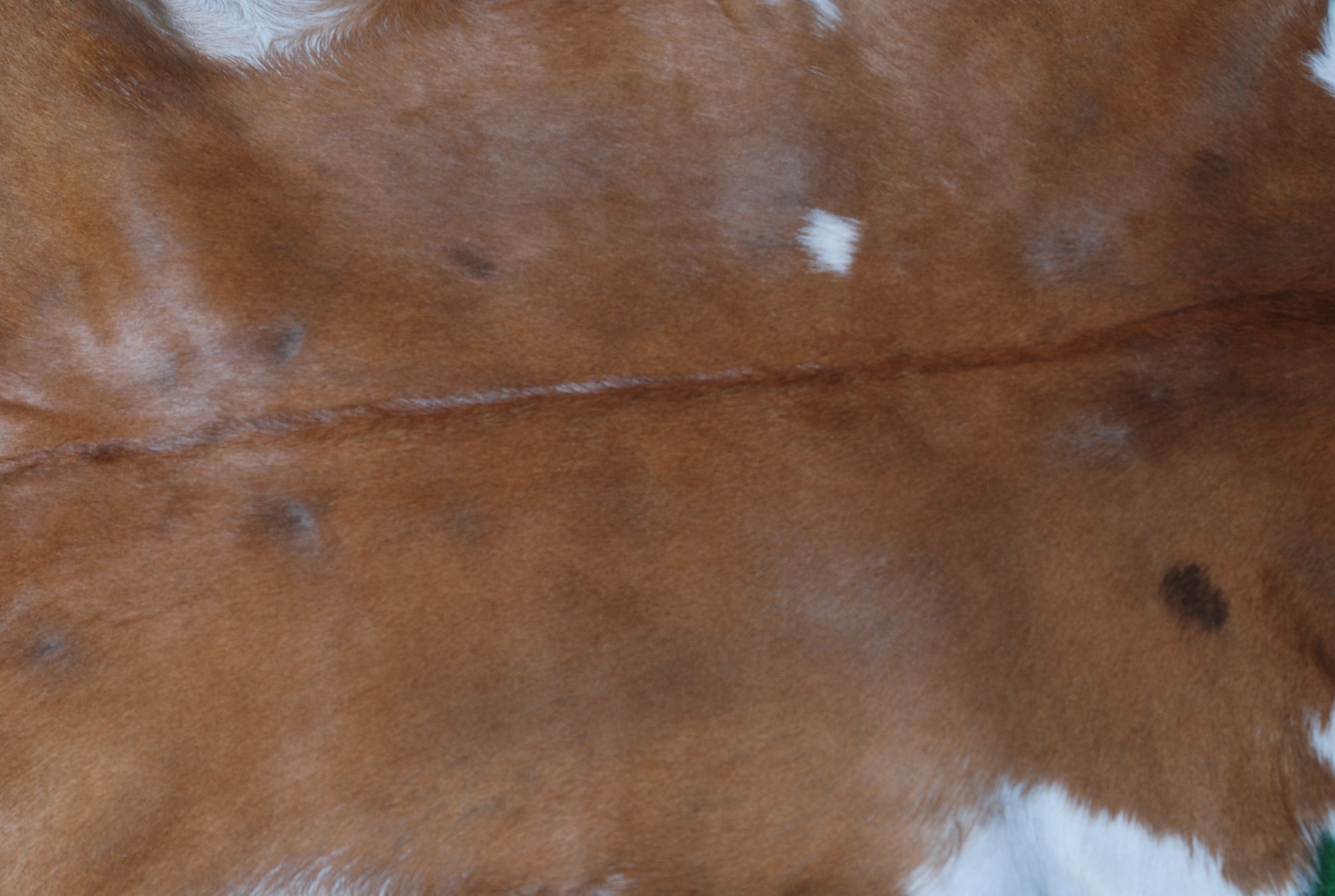 Natural Dark Brown Goat Hide Rug - Perfect for Modern and Rustic Spaces ) - Celestial Leather Limited