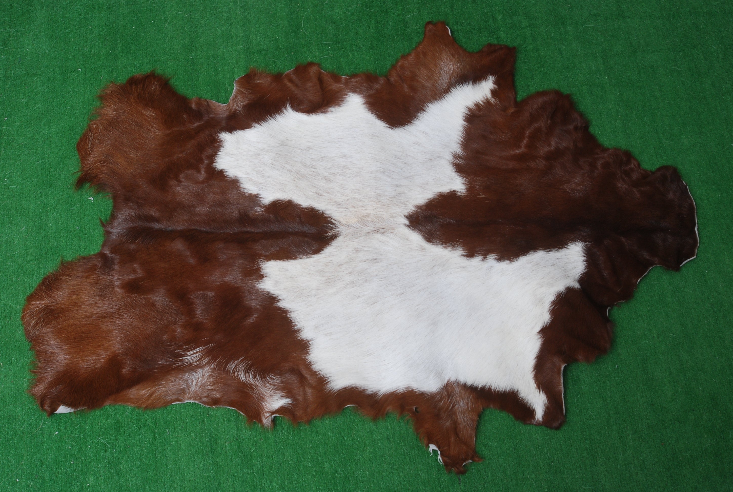 Luxury Brown & White Goat Hide Rug - Premium Hair-On Goat Skin Rug for Warmth - Elegance - Handcrafted - Sustainable Decor Piece - Celestial Leather Limited