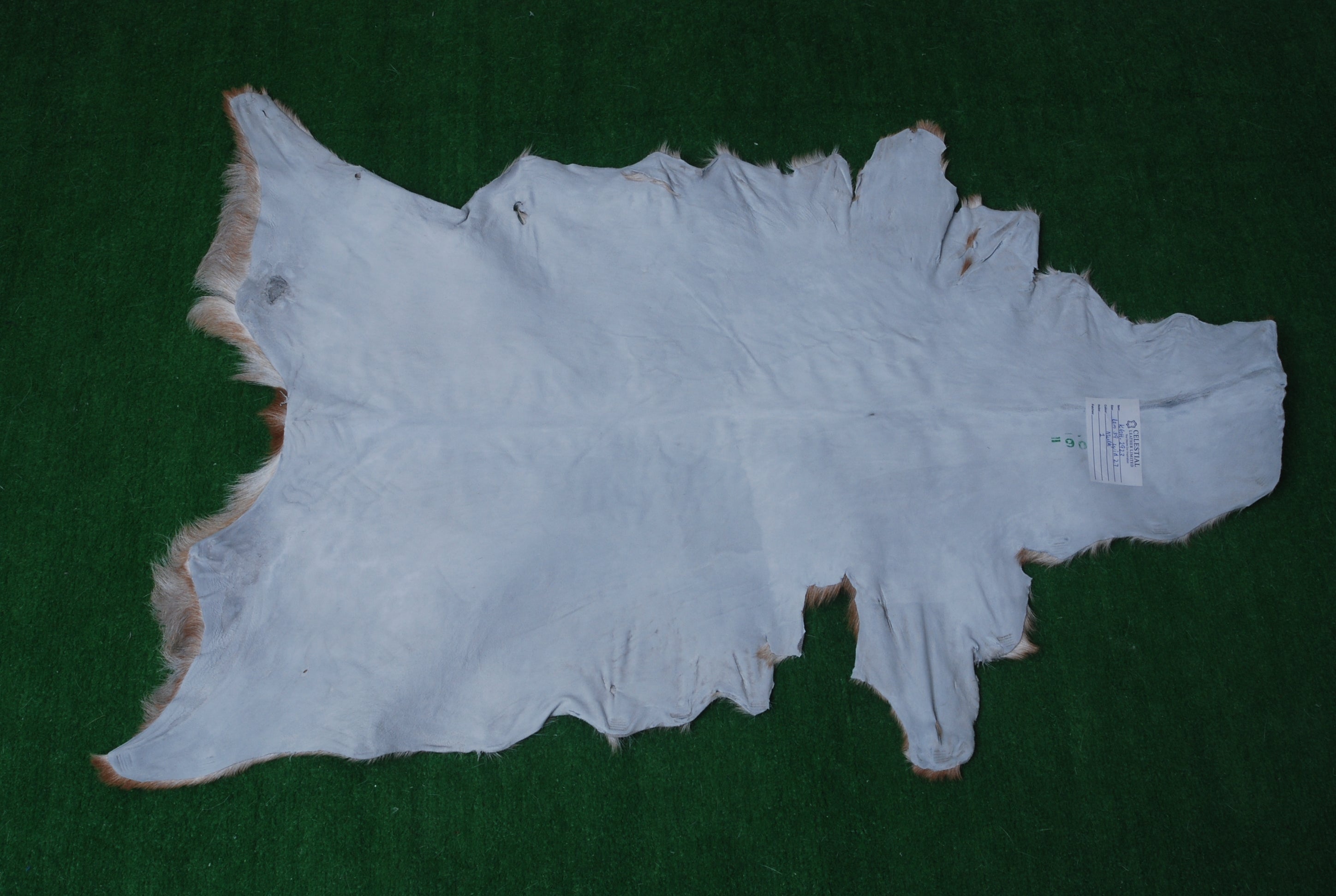 Brown and White Handmade Goat Skin Rug – Classic Elegance for Your Home