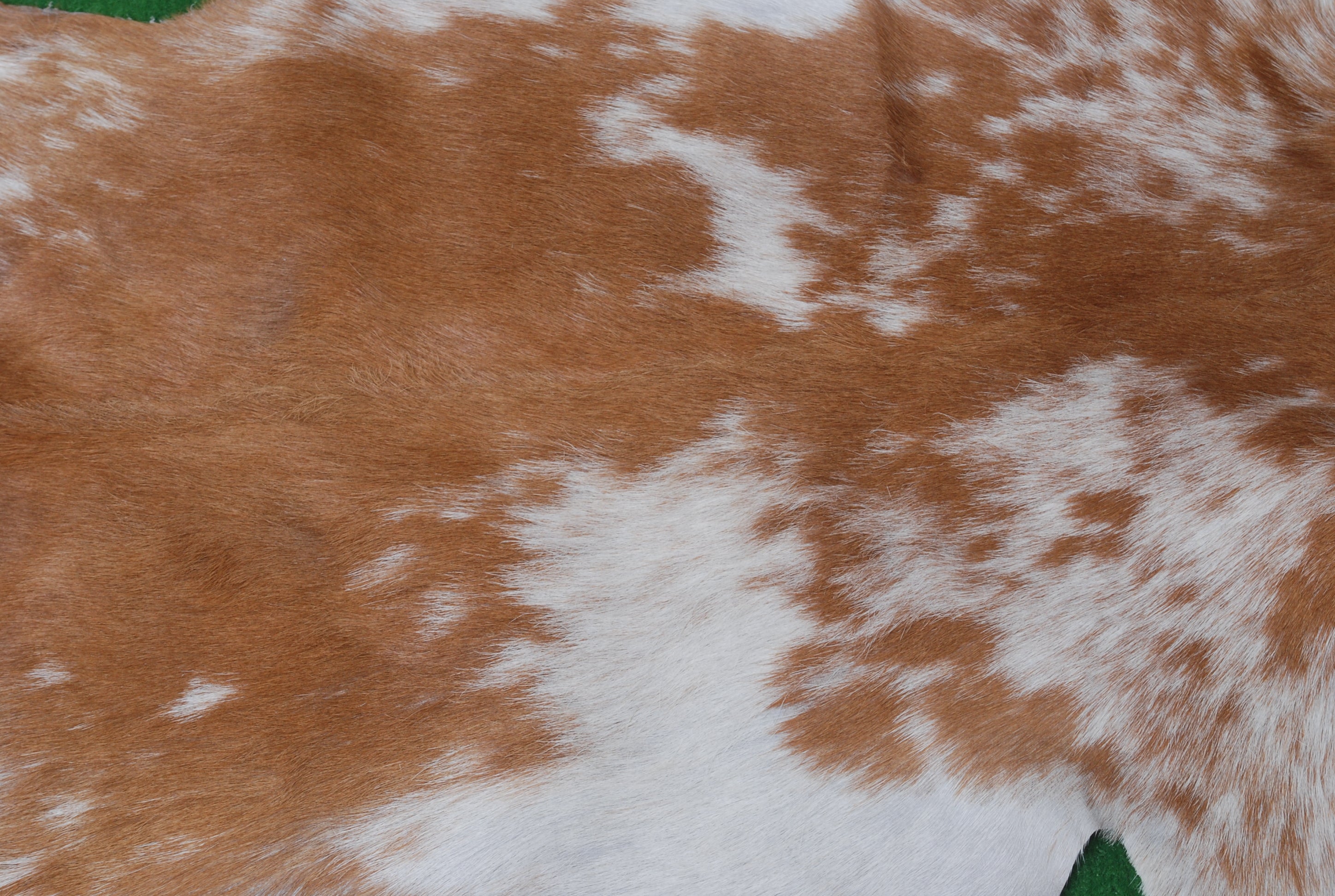 Brown and White Handmade Goat Skin Rug – Classic Elegance for Your Home