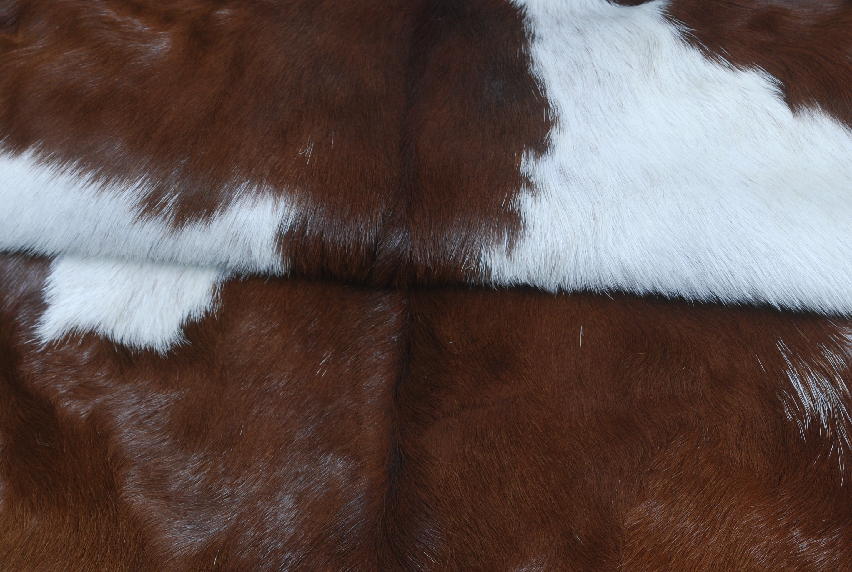 Luxury Brown & White Goat Hide Rug - Premium Hair-On Goat Skin Rug for Warmth - Elegance - Handcrafted - Sustainable Decor Piece - Celestial Leather Limited