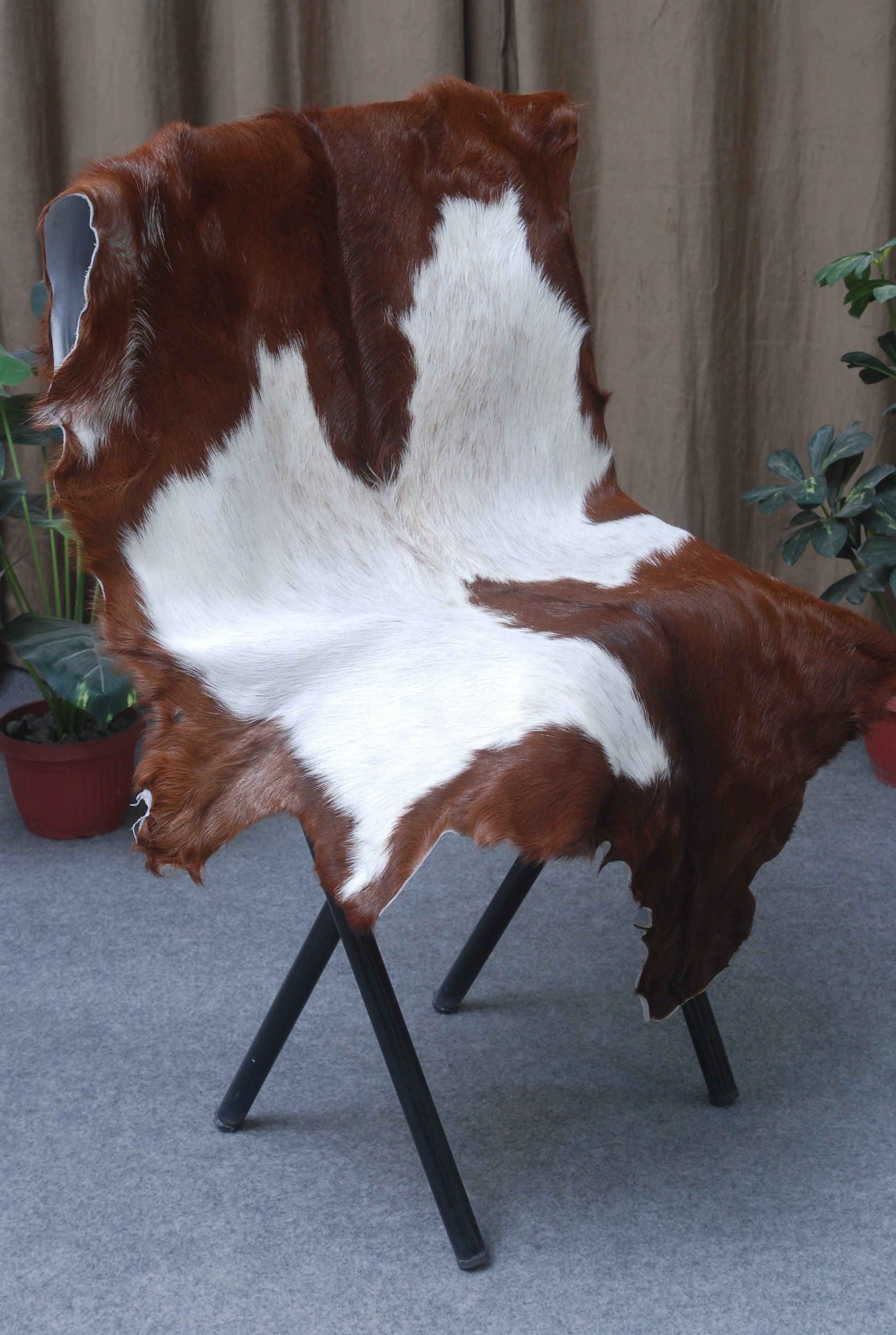 Luxury Brown & White Goat Hide Rug - Premium Hair-On Goat Skin Rug for Warmth - Elegance - Handcrafted - Sustainable Decor Piece - Celestial Leather Limited