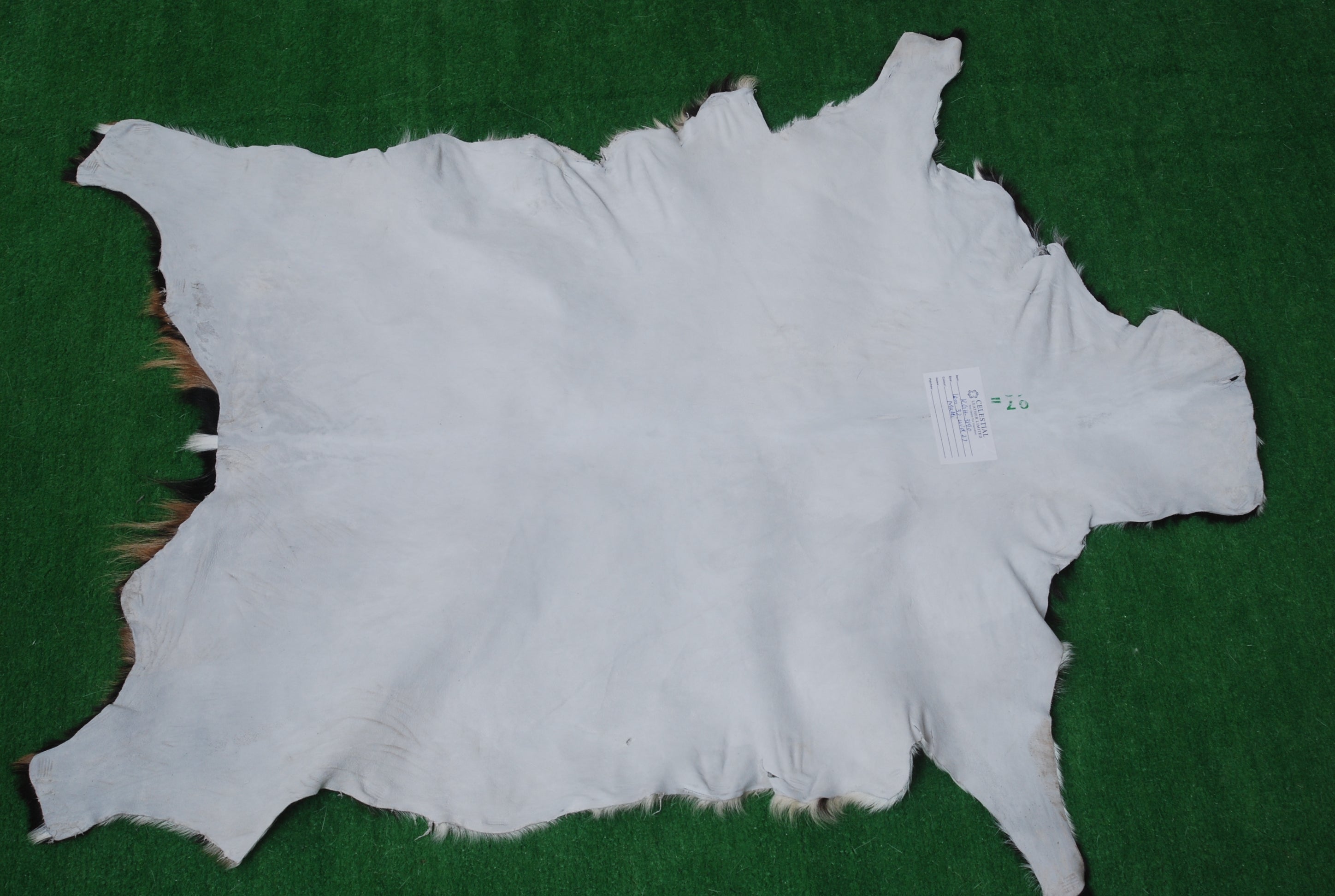 Decorative Black and White Goat Skin Rug - Genuine Leather for Sophisticated Spaces