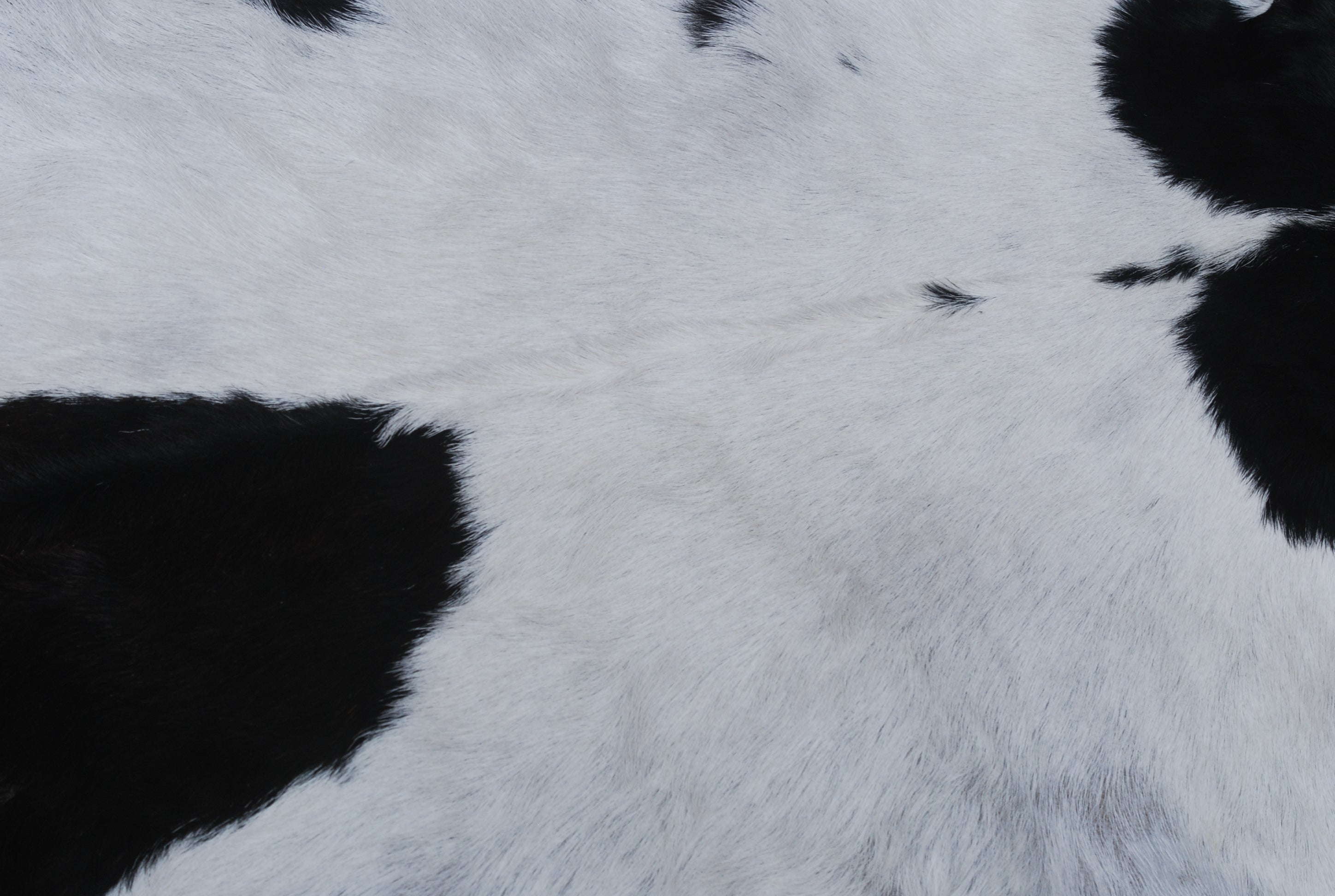 Hair-On Goat Skin Rug - Black and White Design for Unique Living Spaces - Celestial Leather Limited