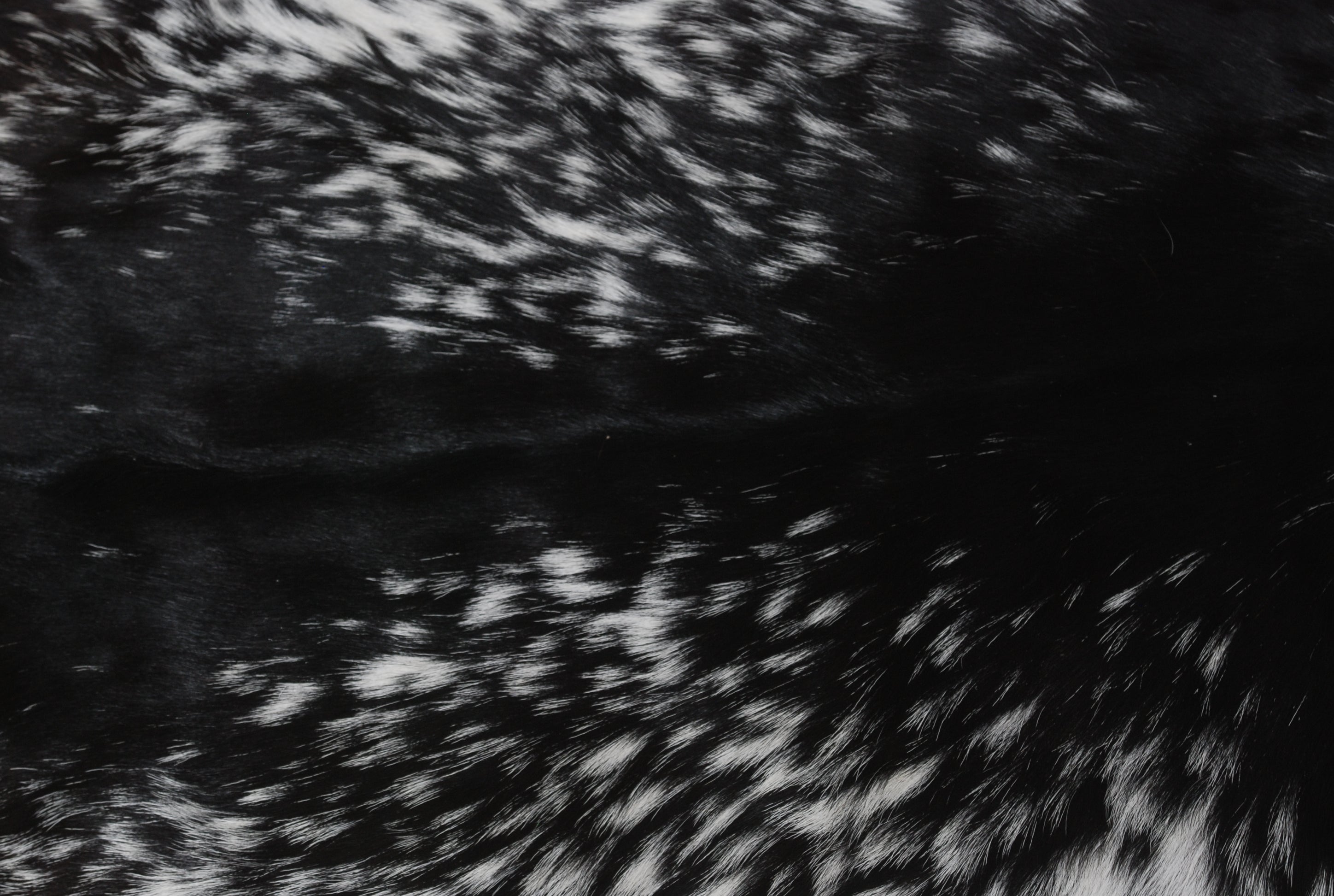 Luxurious Black and White Goat Skin Rug - Natural Hair-On Leather for Home Styling