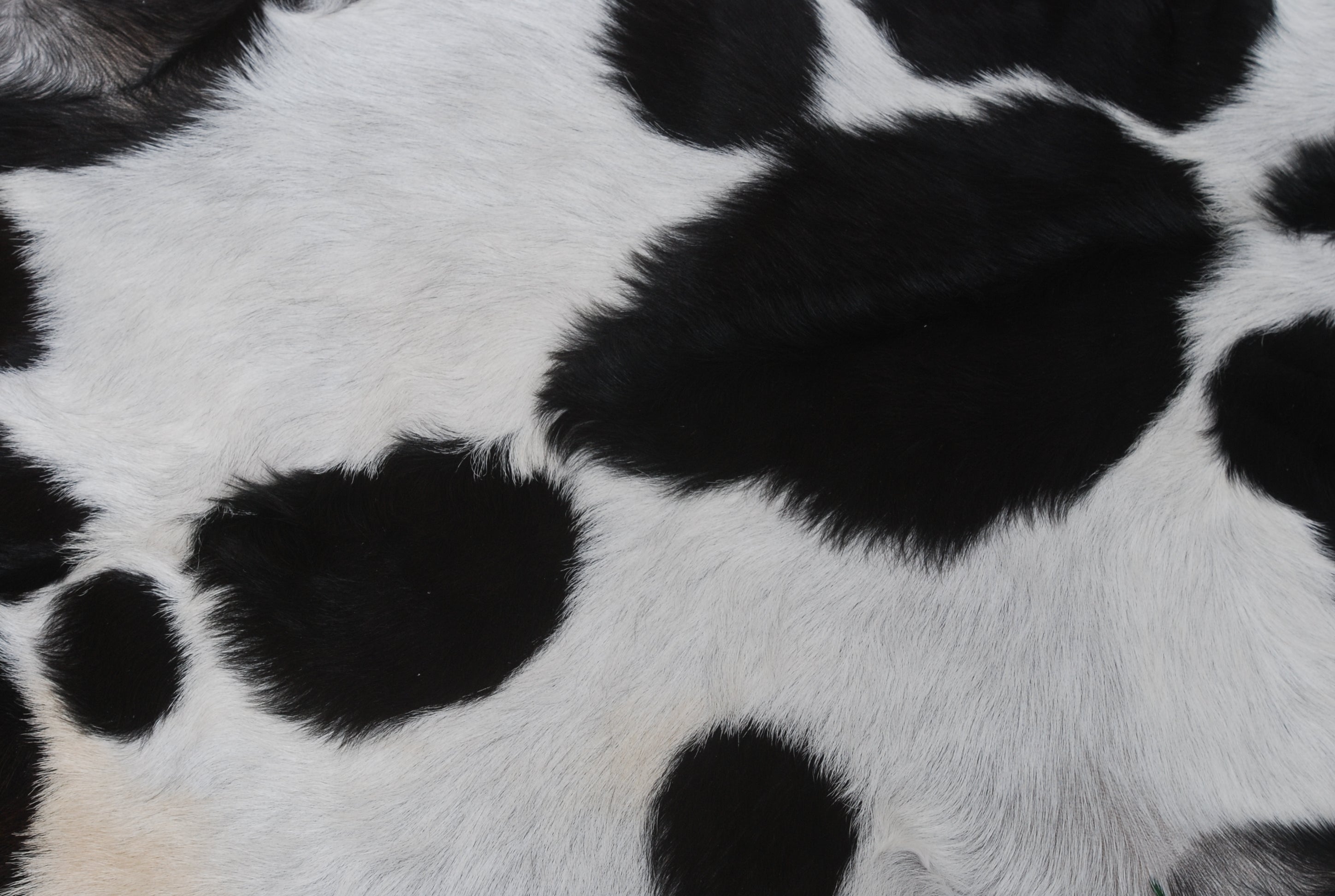Luxurious Black & White Goat Skin Rug Décor Animal Skin Rug - Celestial Leather Limited