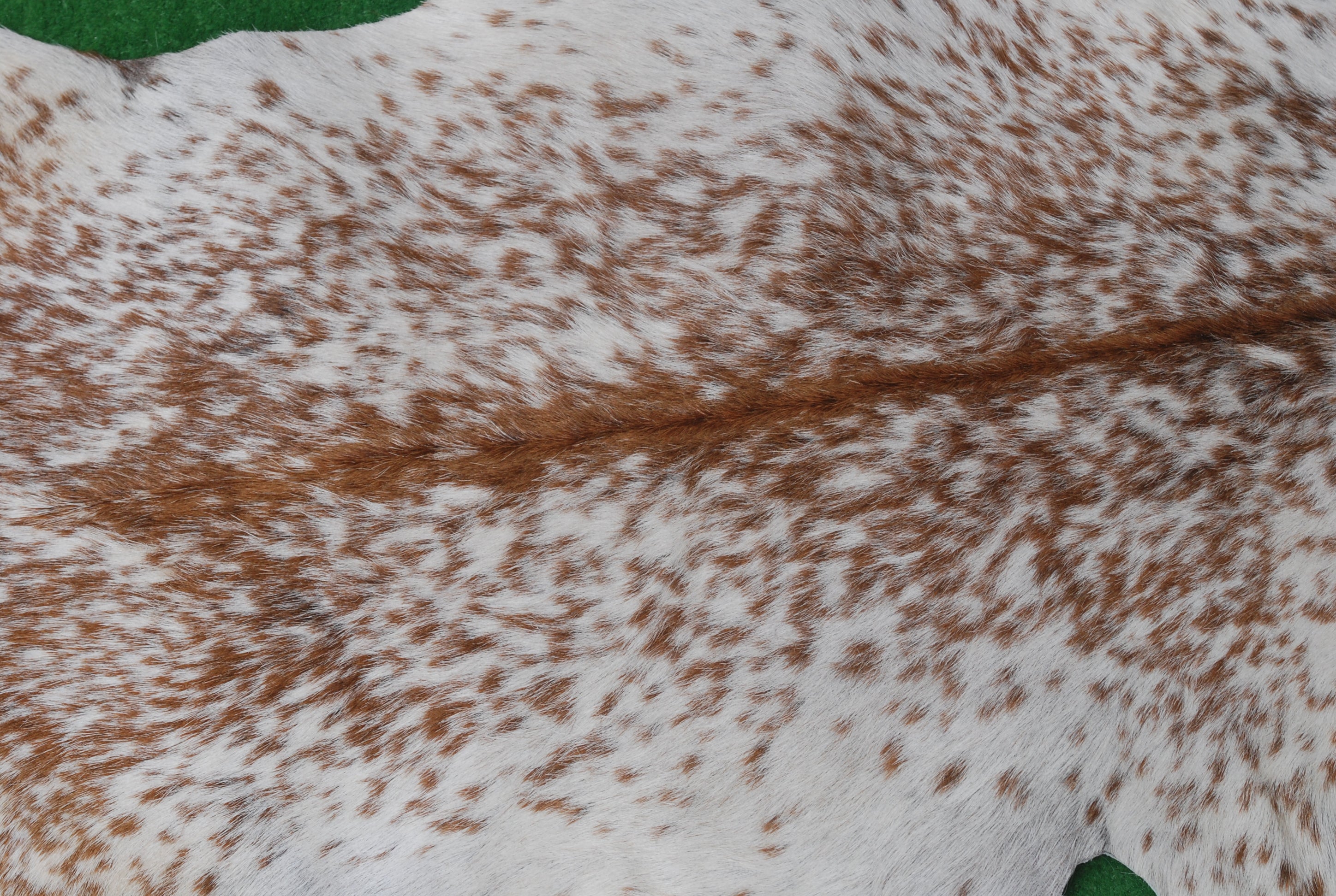 Authentic Hair-On Goat Skin Rug - Brown and White Pattern for Stylish Interiors - Celestial Leather Limited