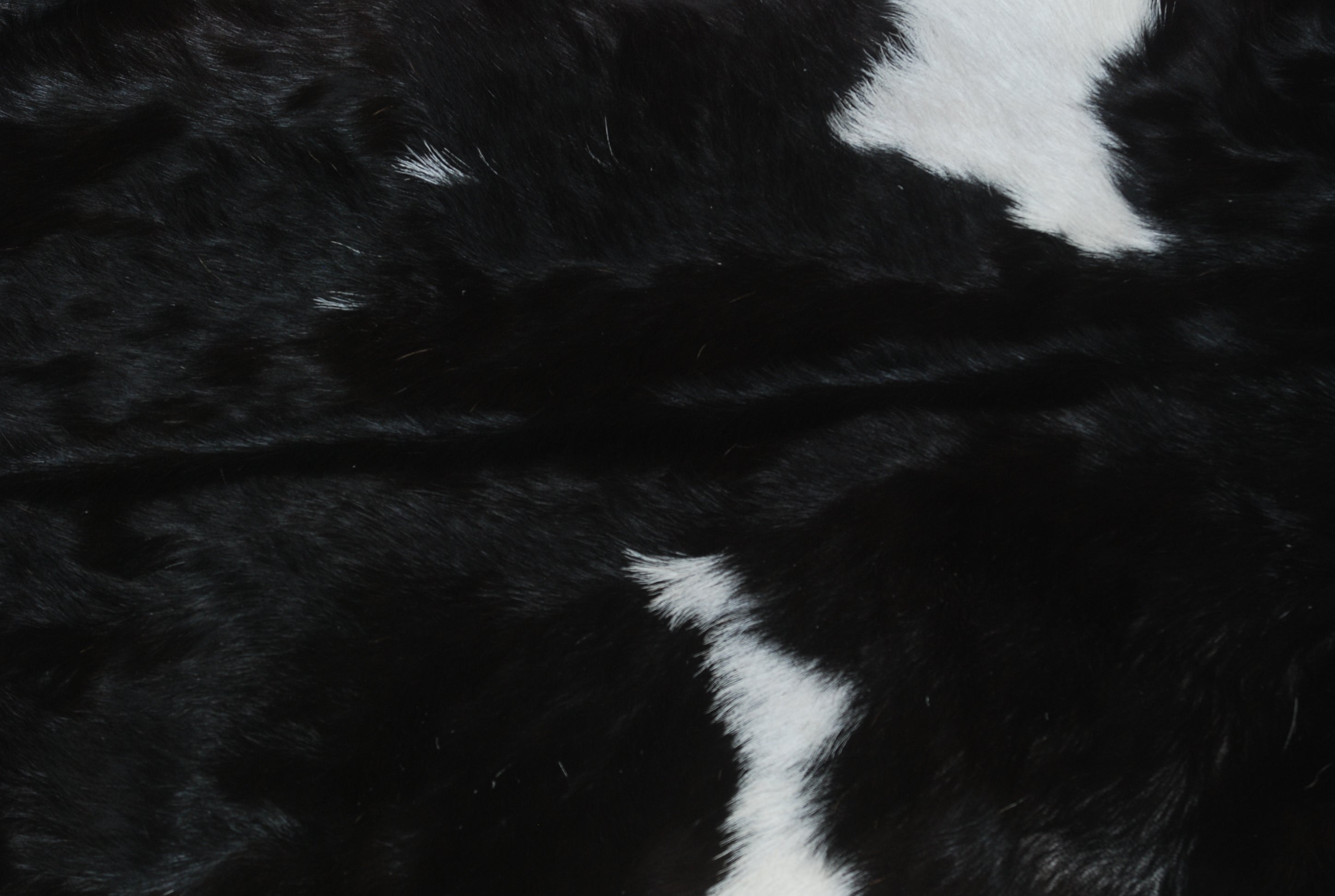 Luxurious Black and White Genuine Goat Skin Rug - Premium Hair-On Skin - Celestial Leather Limited