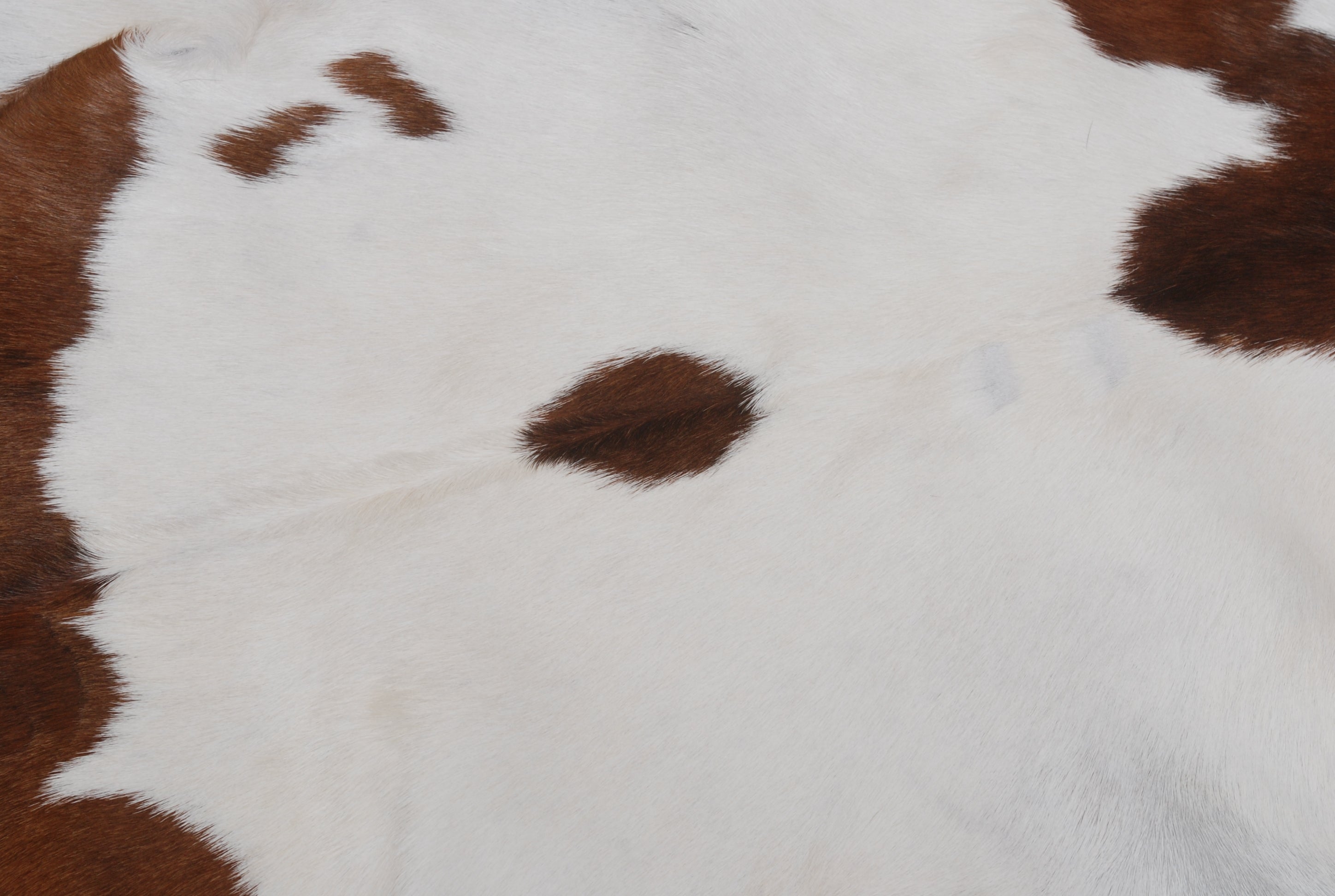 Luxurious Brown and White Goatskin Rug for Modern Home Décor - Hypoallergenic, Non-Shedding, Sustainable, Unique Hair-on Leather Rug - Celestial Leather Limited