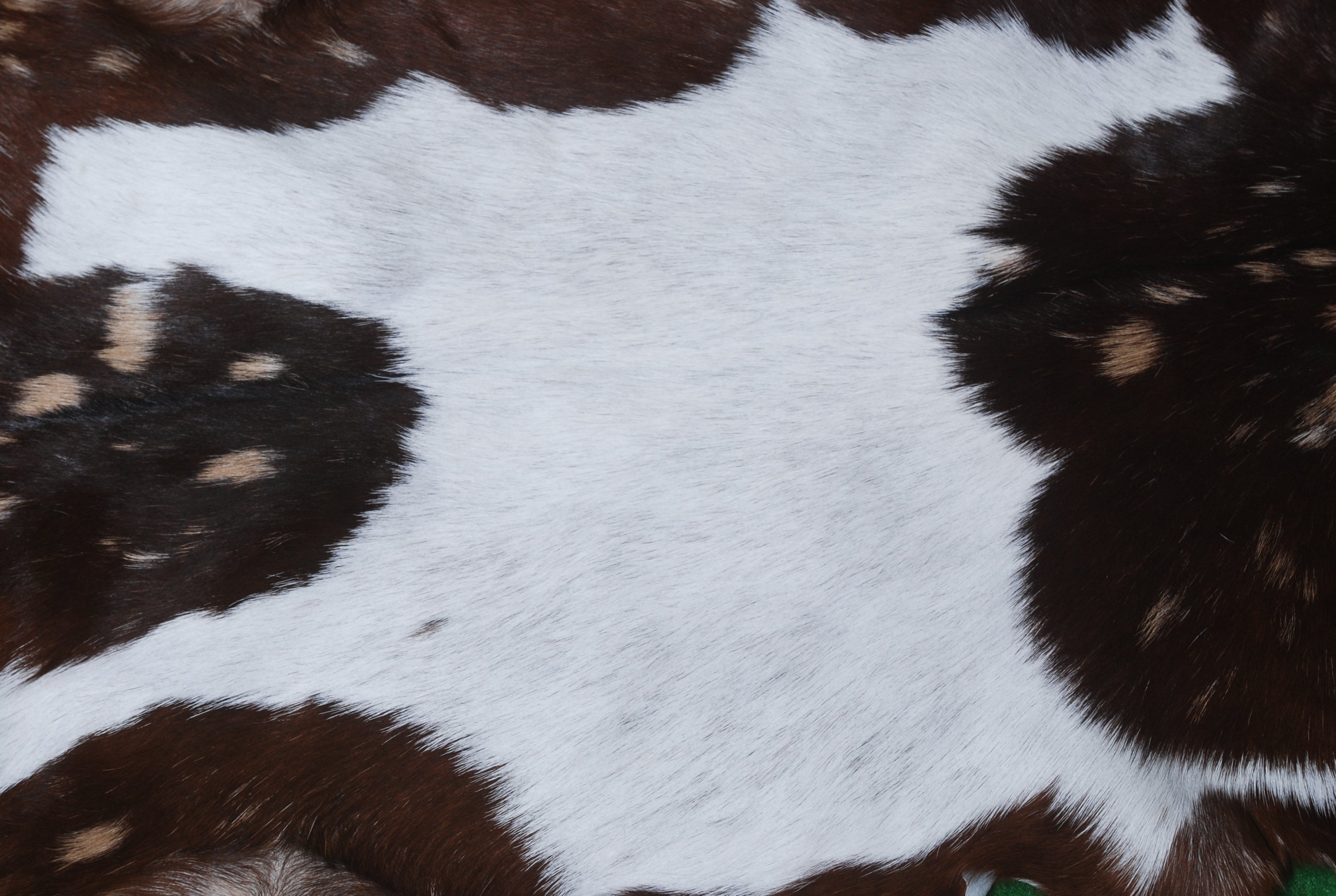 Decorative Brown and White Goat Hide Rug - Perfect for Floor or Wall Accents