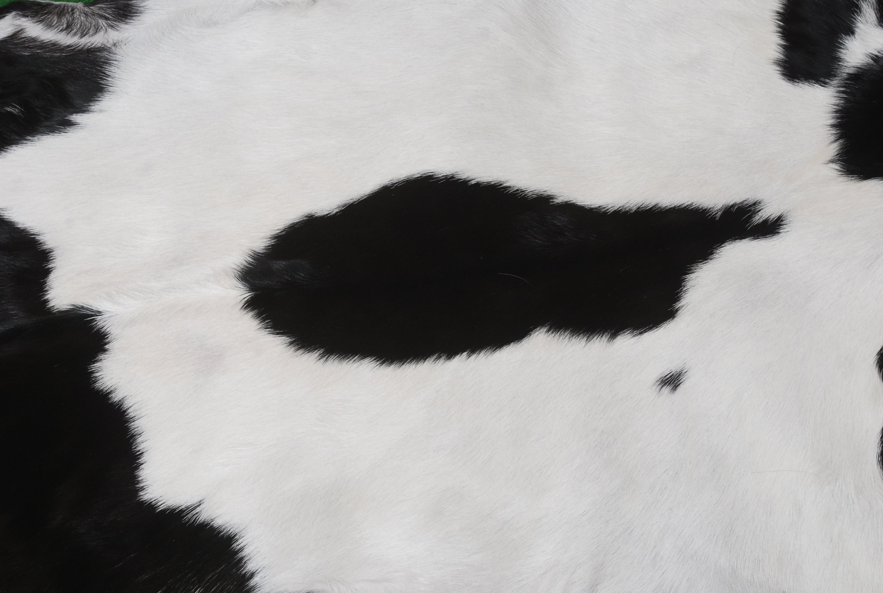 Luxury Black & White Goat Skin Rug - Modern Chic Decor, Natural Softness, Hypoallergenic, Eco-Friendly, Unique Pattern, Non-Slip Backing - Celestial Leather Limited