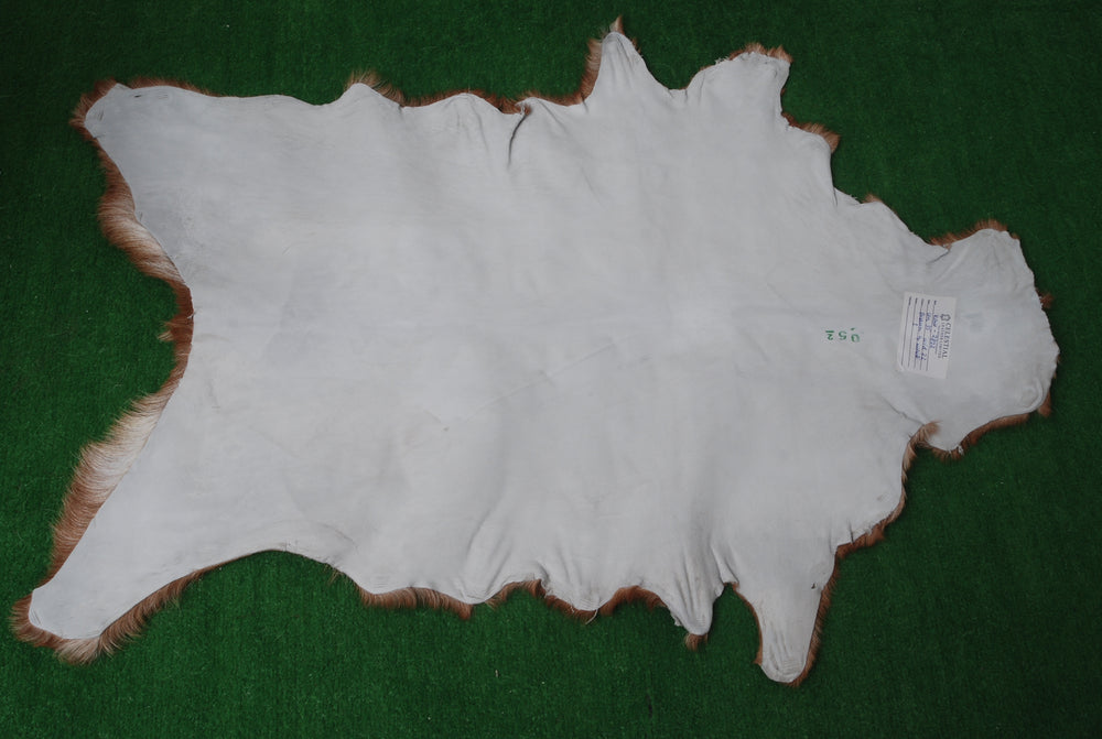 Luxurious Brown and White Natural Goat Skin Rug with Non-Slip Suede Back - Handcrafted Premium Hair-On Goat Hide Rug for Home Decor - Celestial Leather Limited