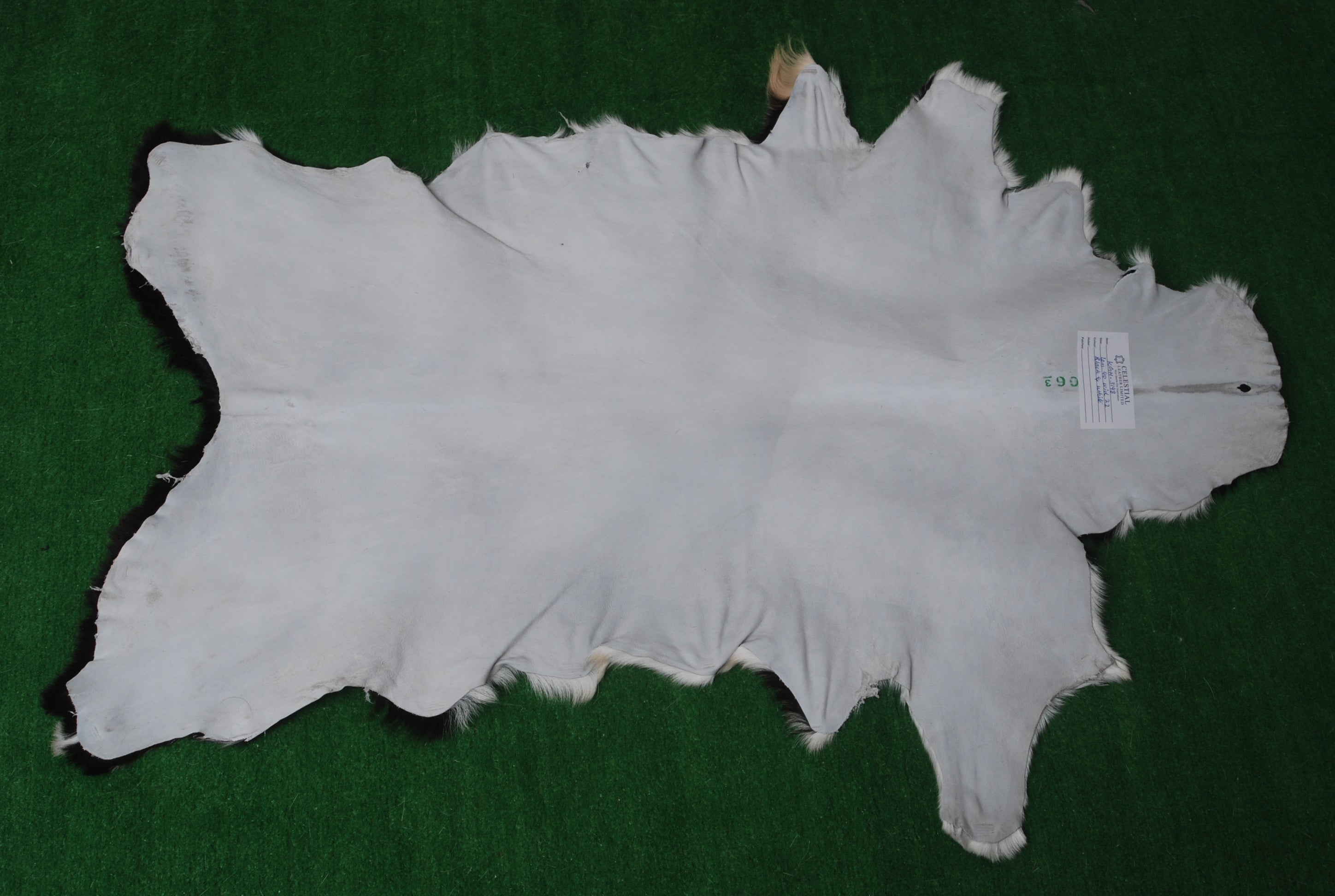 Goat Skin Rug: A Luxurious Addition to Your Home Décor - Celestial Leather Limited