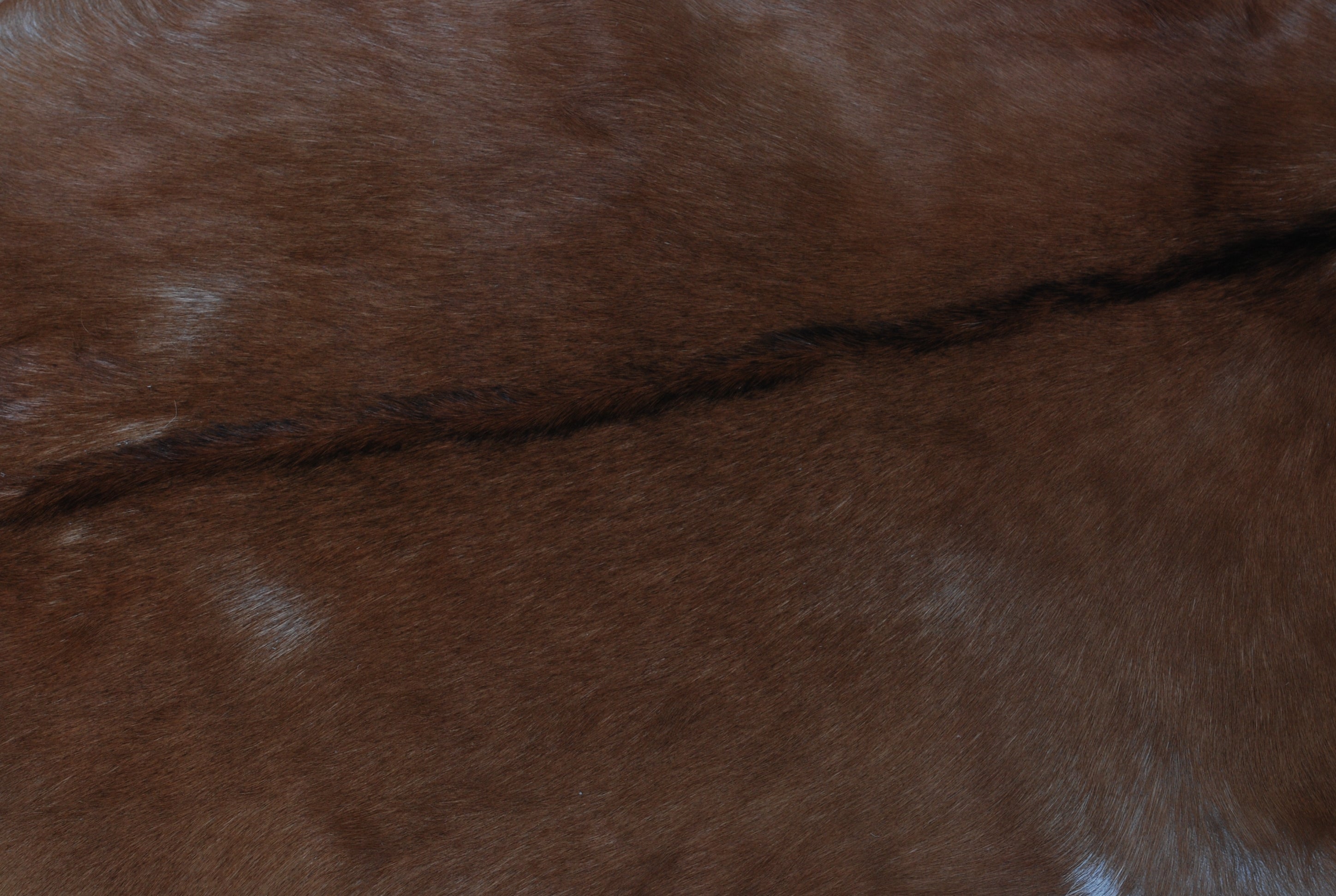 Dark Brown Rug - Soft, Durable, and Eco-Friendly - Handmade Pure Goat Skin Floor Rug - Non-Slip Suede Back