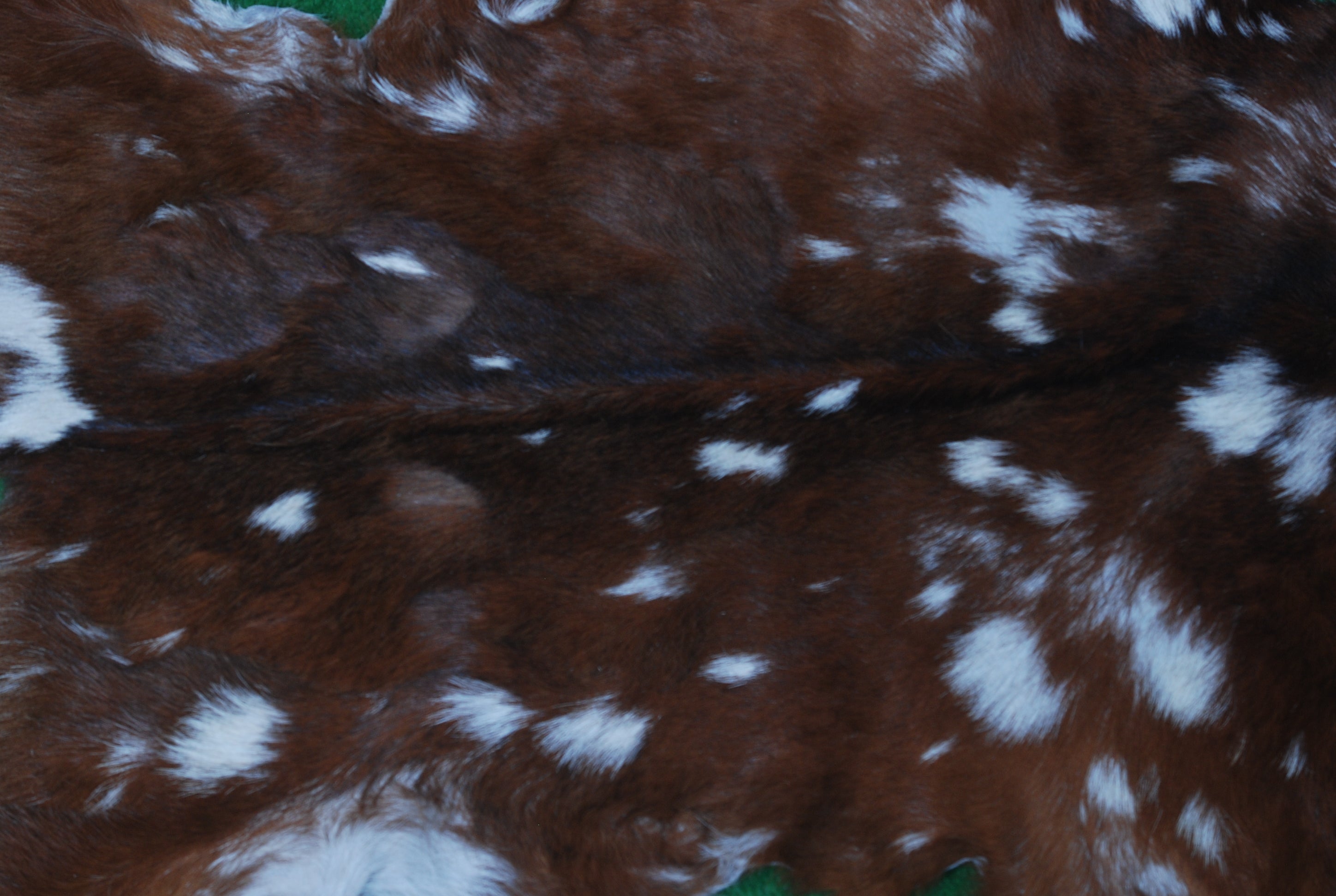 Authentic Hair-On Goat Skin Rug - Tri-Color Pattern for Stylish Home D ...