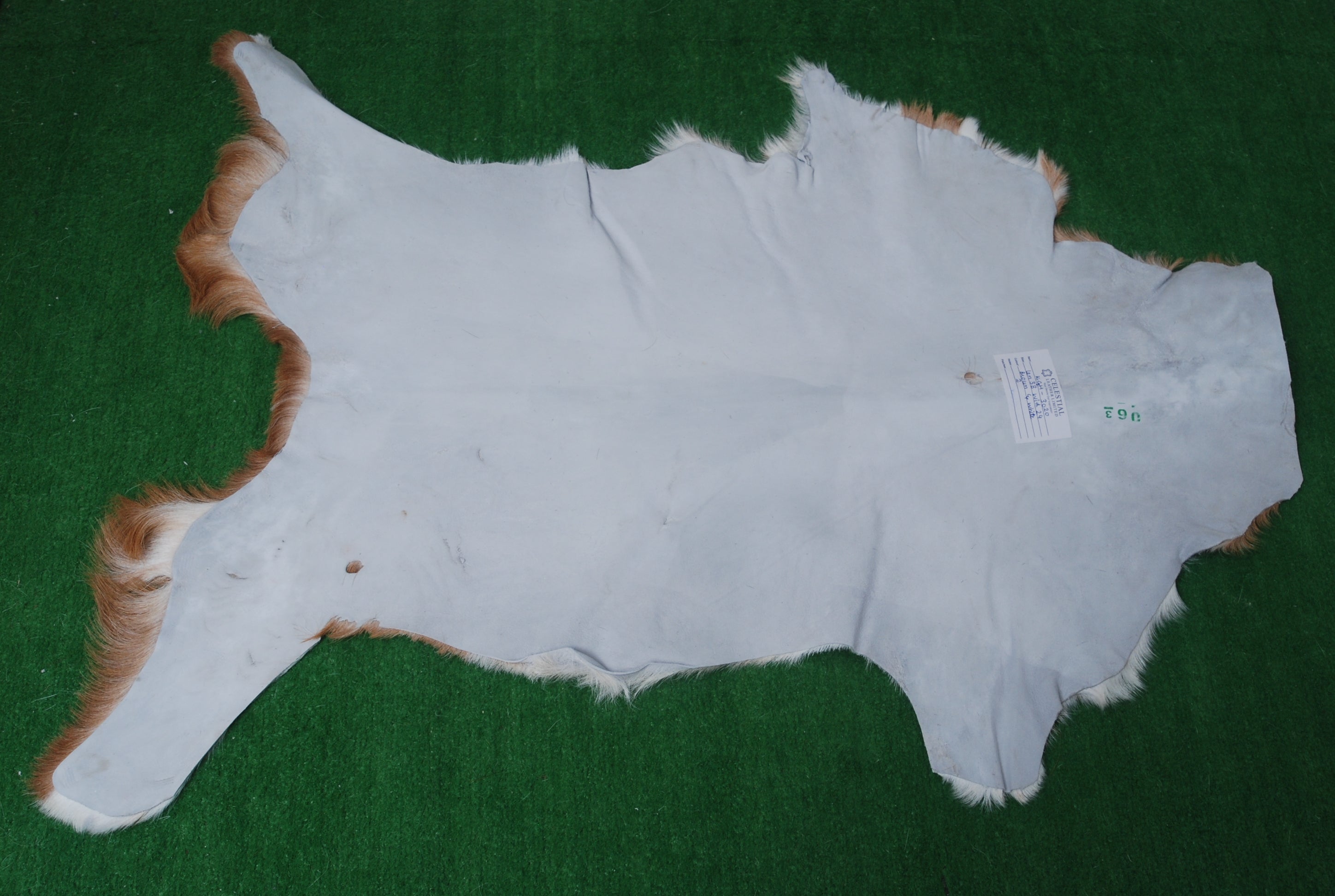 Luxury Brown & White Goat Hide Rug - Premium Hair-On Goat Skin Rug for Home Decor - Accent Pieces - Eco-Friendly and Hypoallergenic Rug - Celestial Leather Limited