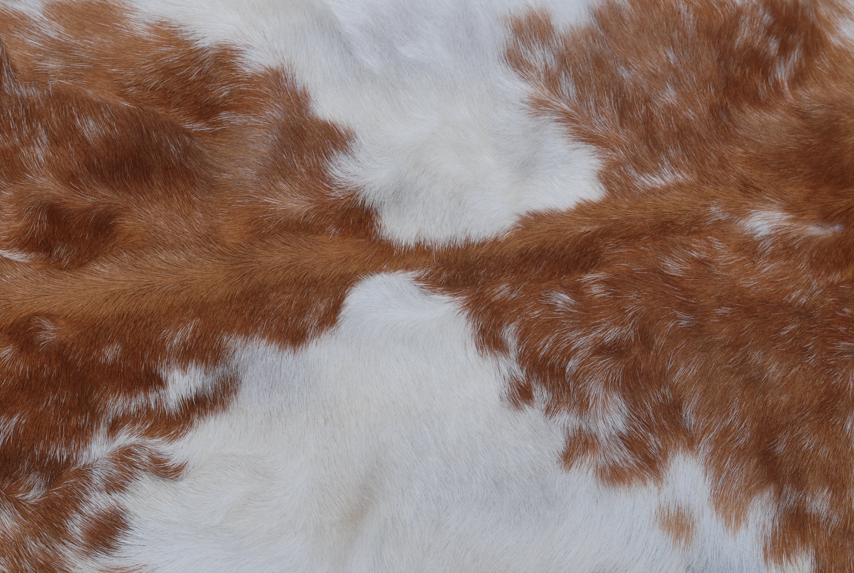 Luxury Brown & White Goat Hide Rug - Premium Hair-On Goat Skin Rug for Home Decor - Accent Pieces - Eco-Friendly and Hypoallergenic Rug - Celestial Leather Limited