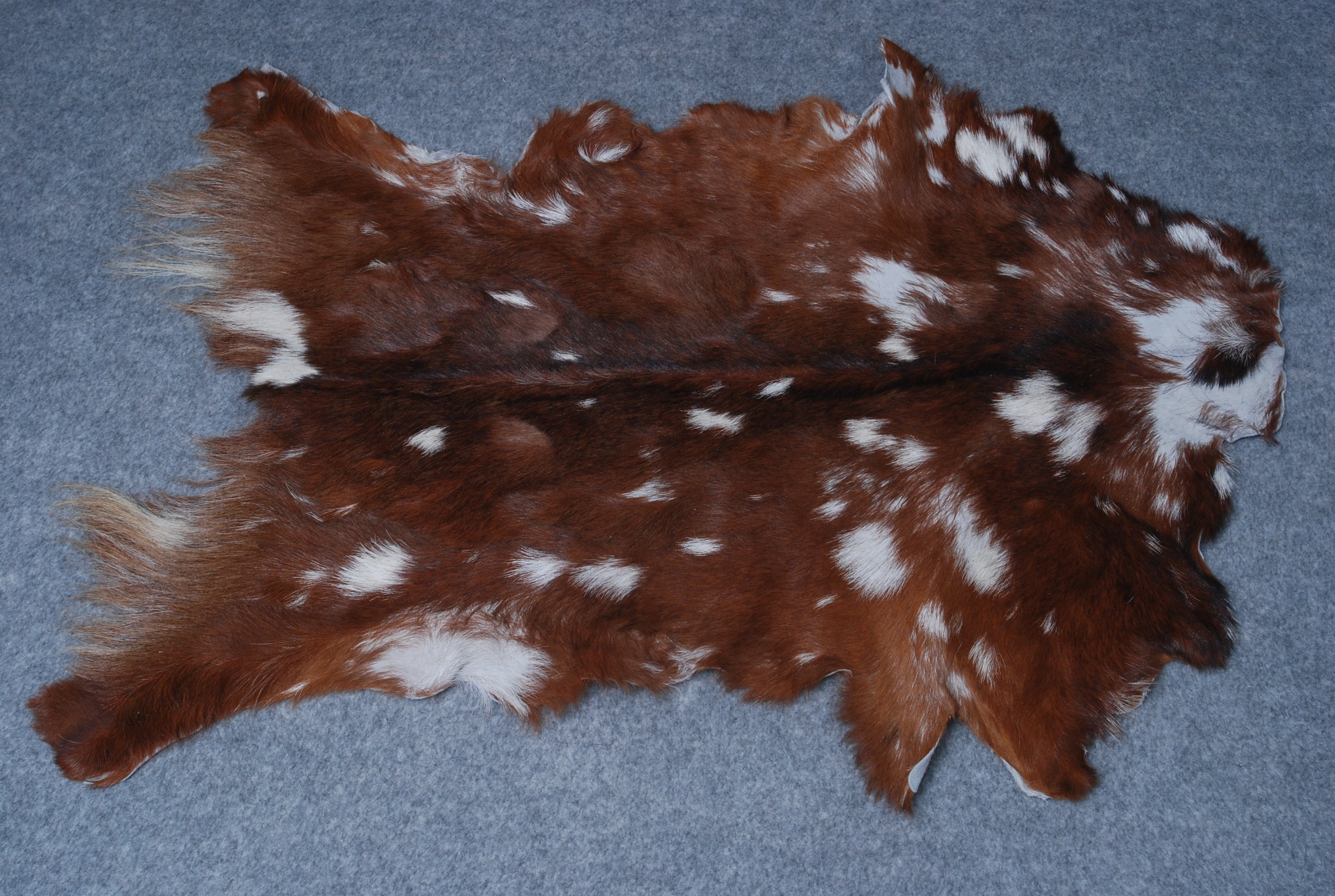 Authentic Hair-On Goat Skin Rug - Tri-Color Pattern for Stylish Home D ...