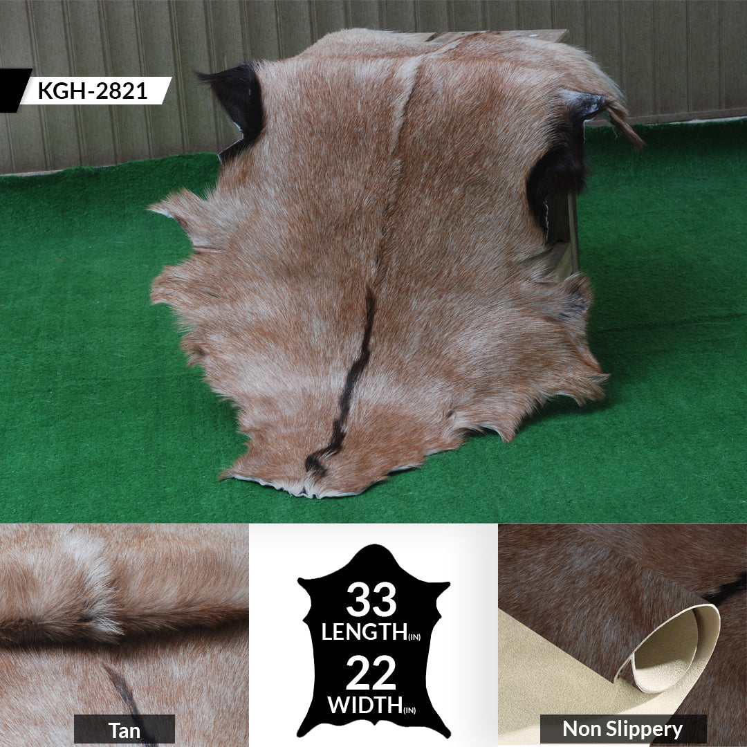 Goat Skin Rug: Tri-Color genuine Goat hide rug
