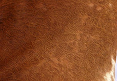 Stylish Rustic Cowhide Cushion Cover – Genuine Leather Animal Skin Home Décor Pillow Cover - Eco-Friendly Exotic Leather Hairy Cushions