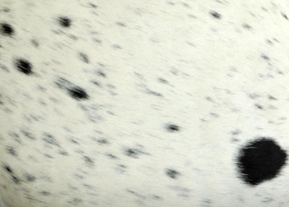 Luxury Cowhide Cushion Cover | Genuine Leather Exotic Animal Skin Home Decor Pillow Case | Stylish Hair-On Leather Cushion Cover