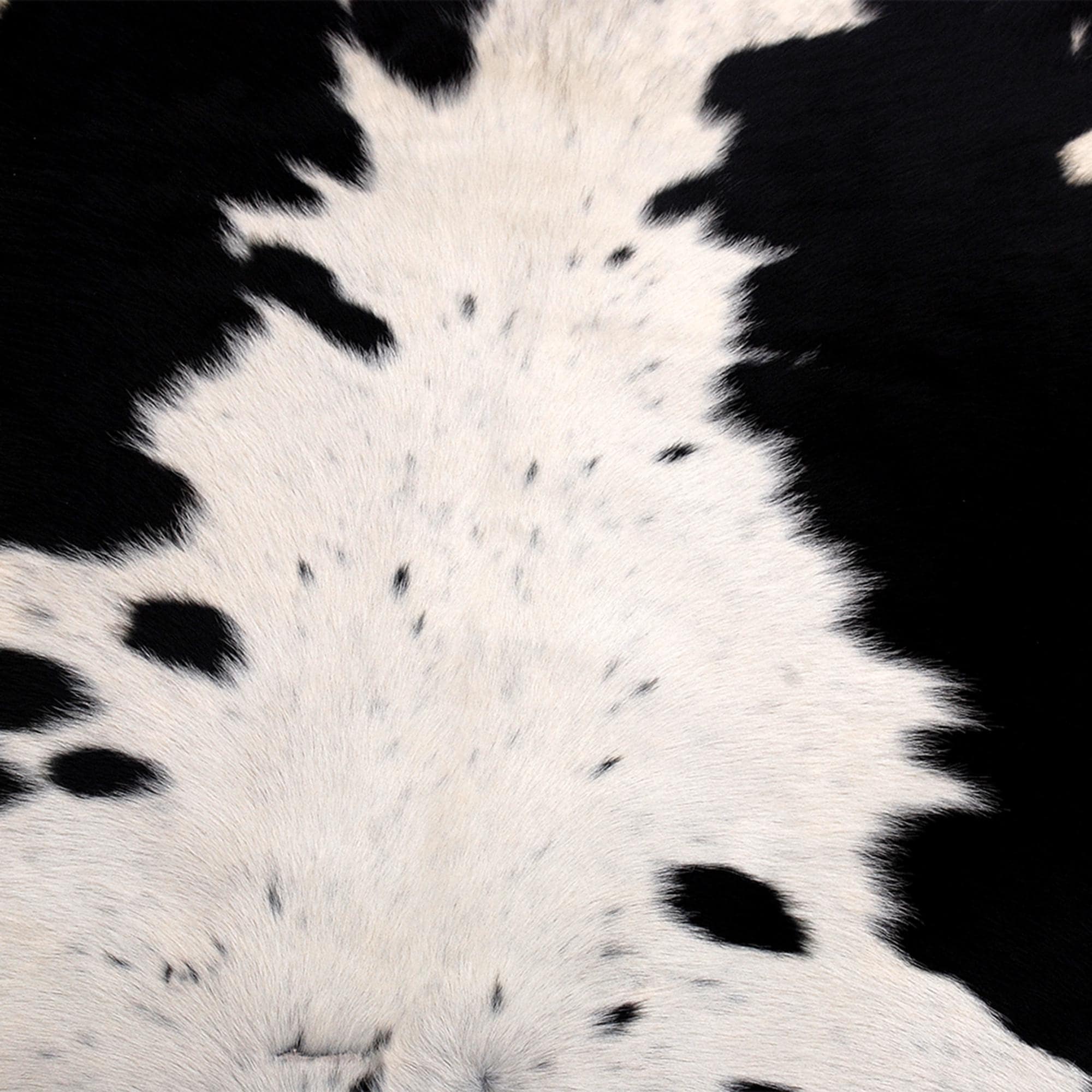Luxurious Large Brown & White Cowhide Rug for Bedroom - Living Room, Hypoallergenic - Non-Slippery, Perfect for Upholstery - Celestial Leather Limited