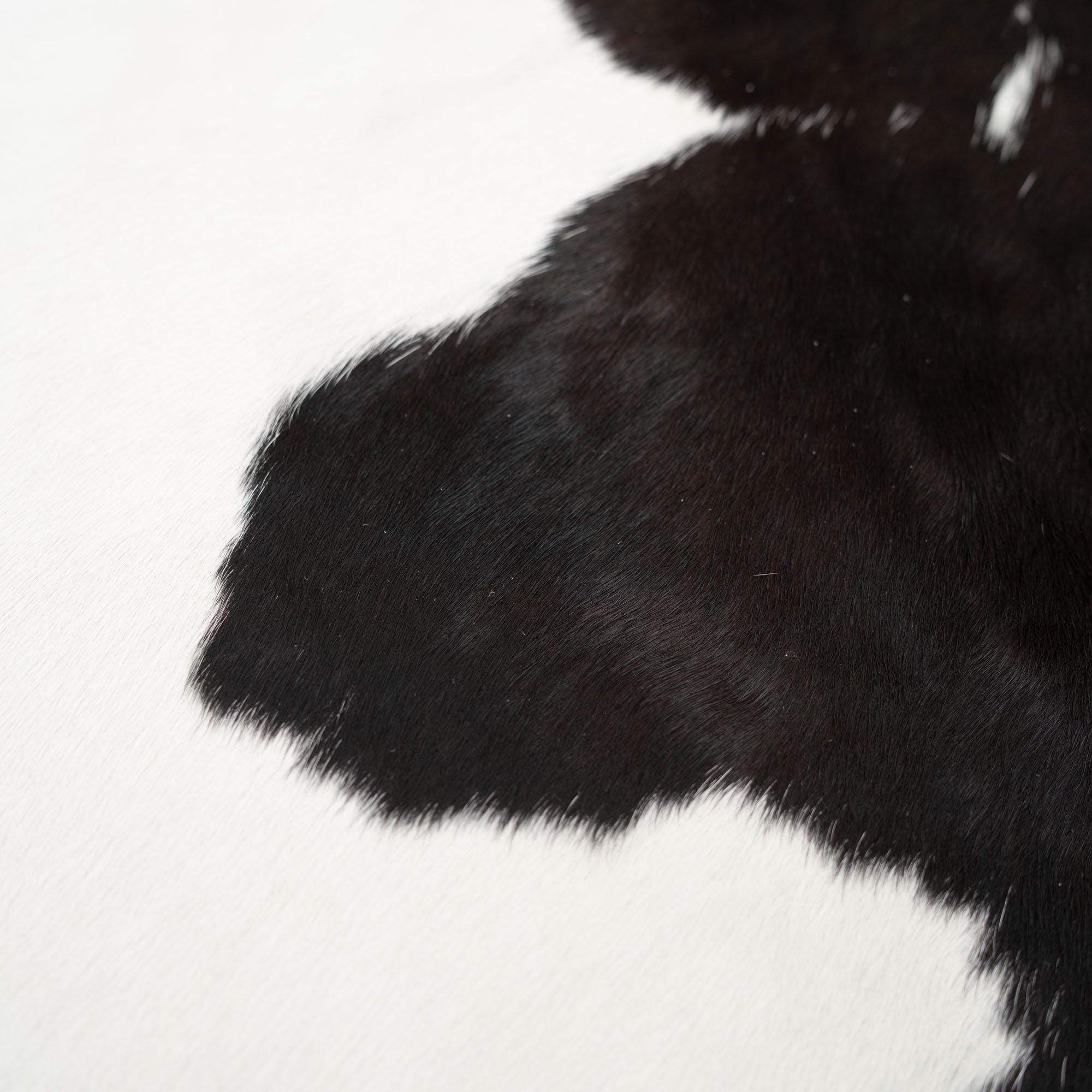 Luxurious Dark Brown & White Cowhide Rug - Hypoallergenic Large Animal Pattern Carpet for Lounge - Non Slip Suede Back - Free Shipping - Celestial Leather Limited