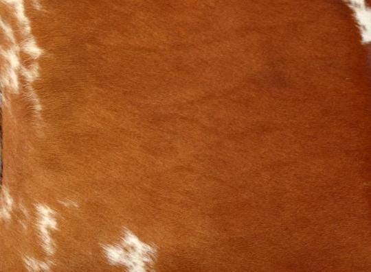 Add a Touch of Rustic Charm to Your Home Décor with 100% Genuine Cowhide Cushion Cover - Eco-Friendly Leather Hairy Cushion Cover in Brown