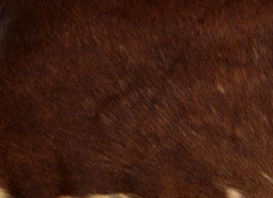 Luxurious Cowhide Cushion Cover | Genuine Leather Hairy Pillow Case | Exotic Animal Skin Home Decor | Rustic Leather Cushion Covers