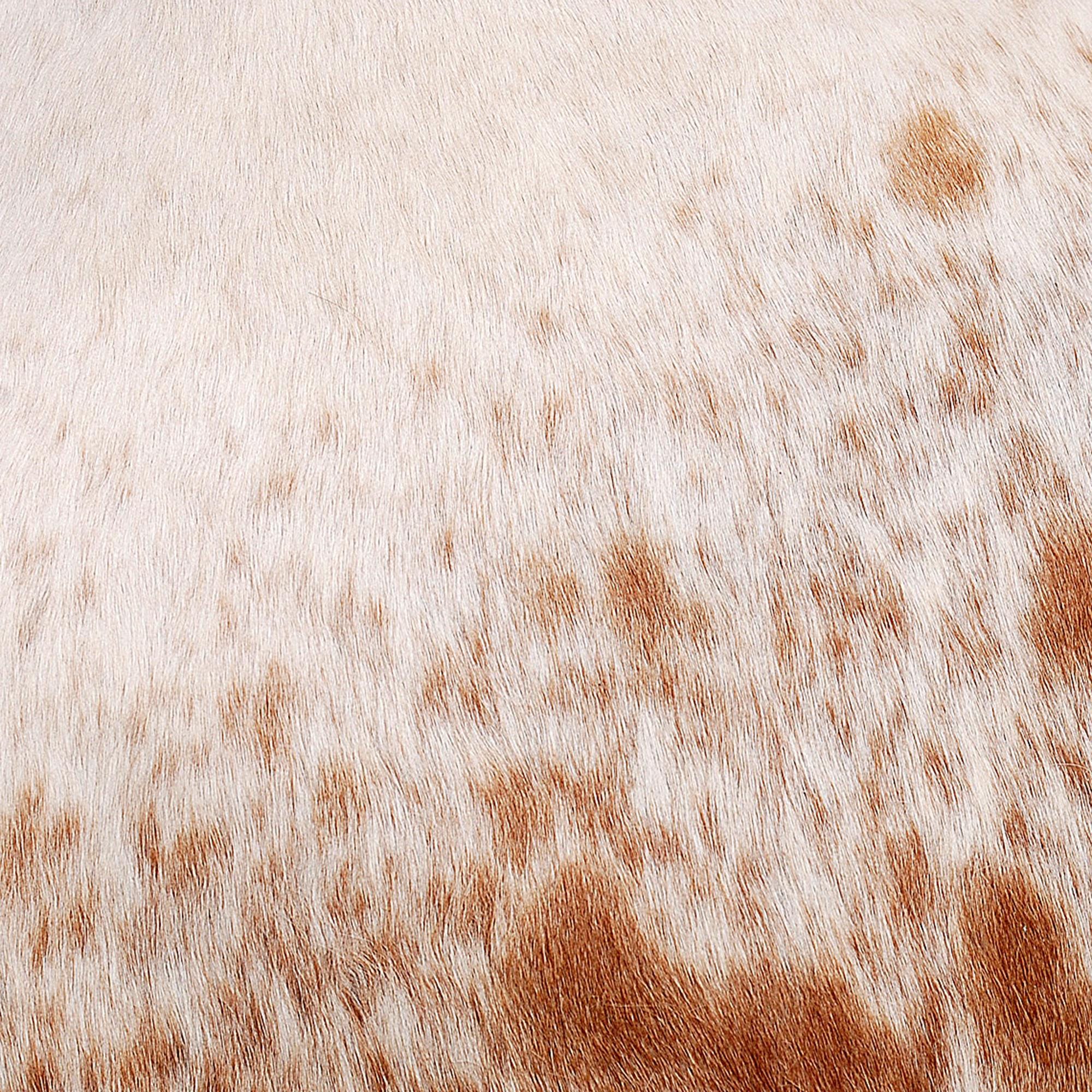 Luxurious Brown and White Cowhide Throw Cushion Cover with Rustic Charm and Natural Beauty